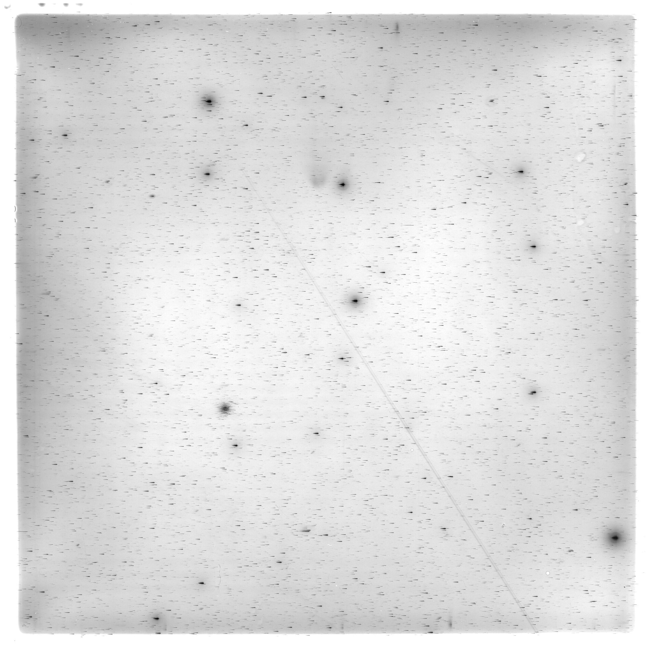 Scan HS01954
