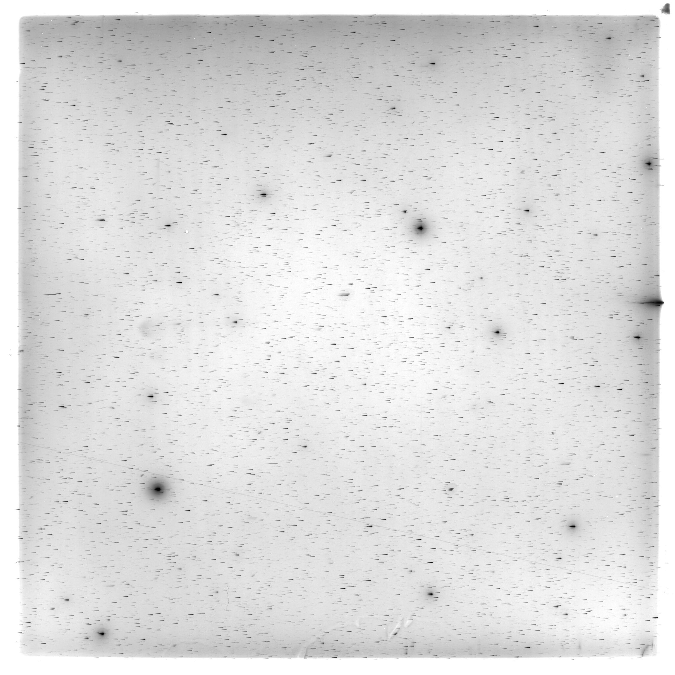 Scan HS01955