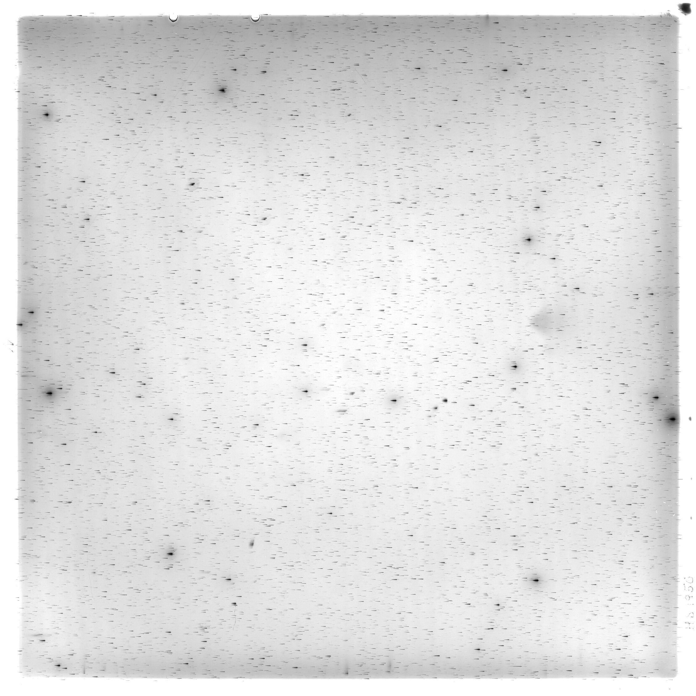 Scan HS01956