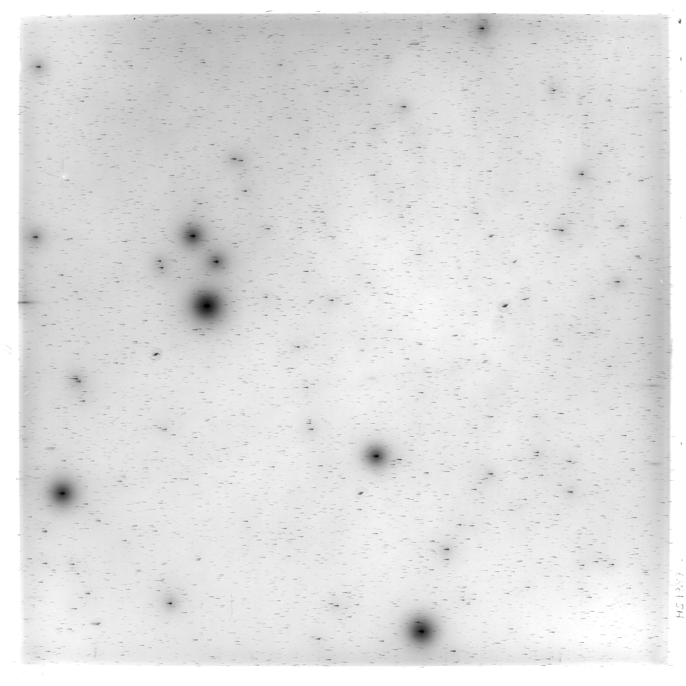 Scan HS01959