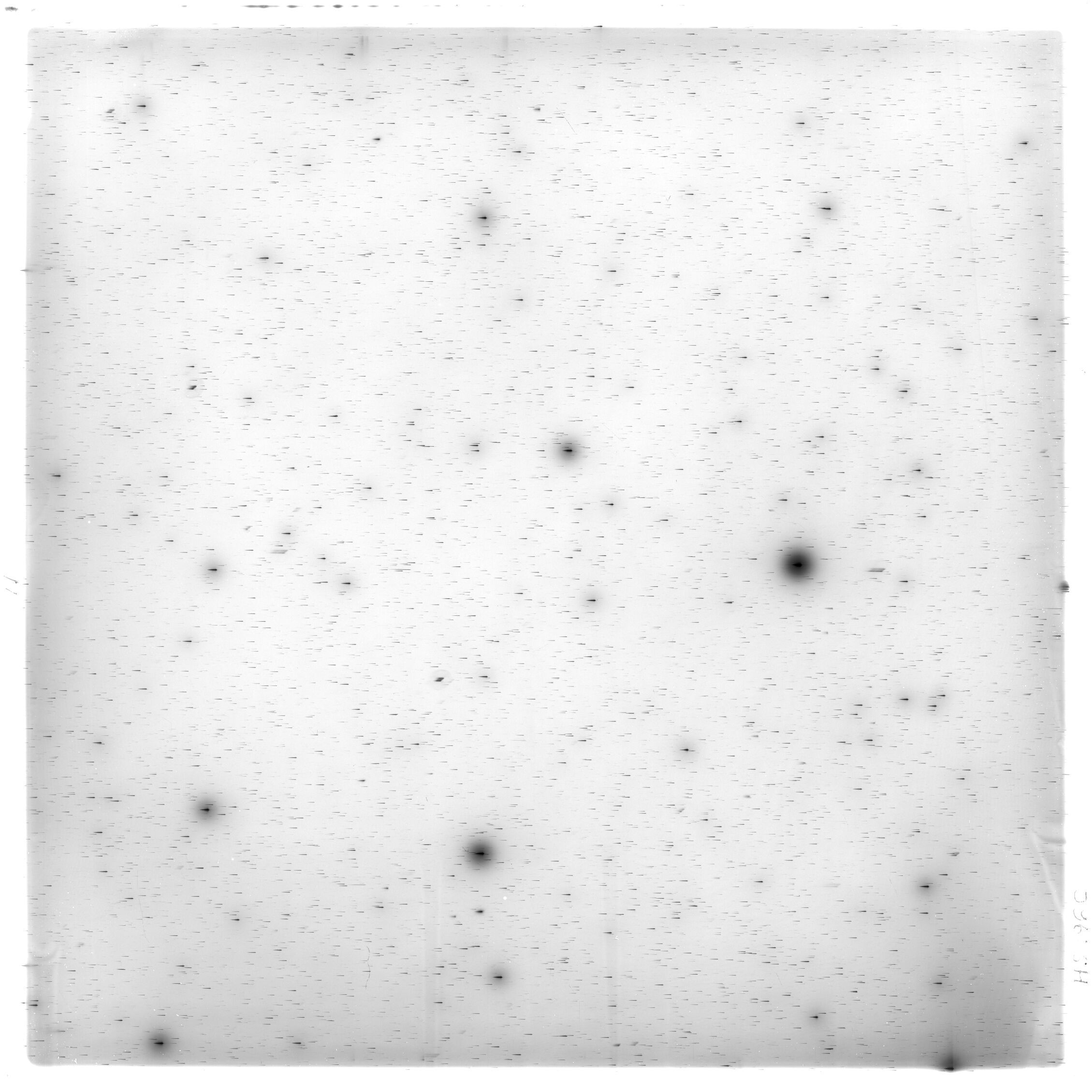 Scan HS01960