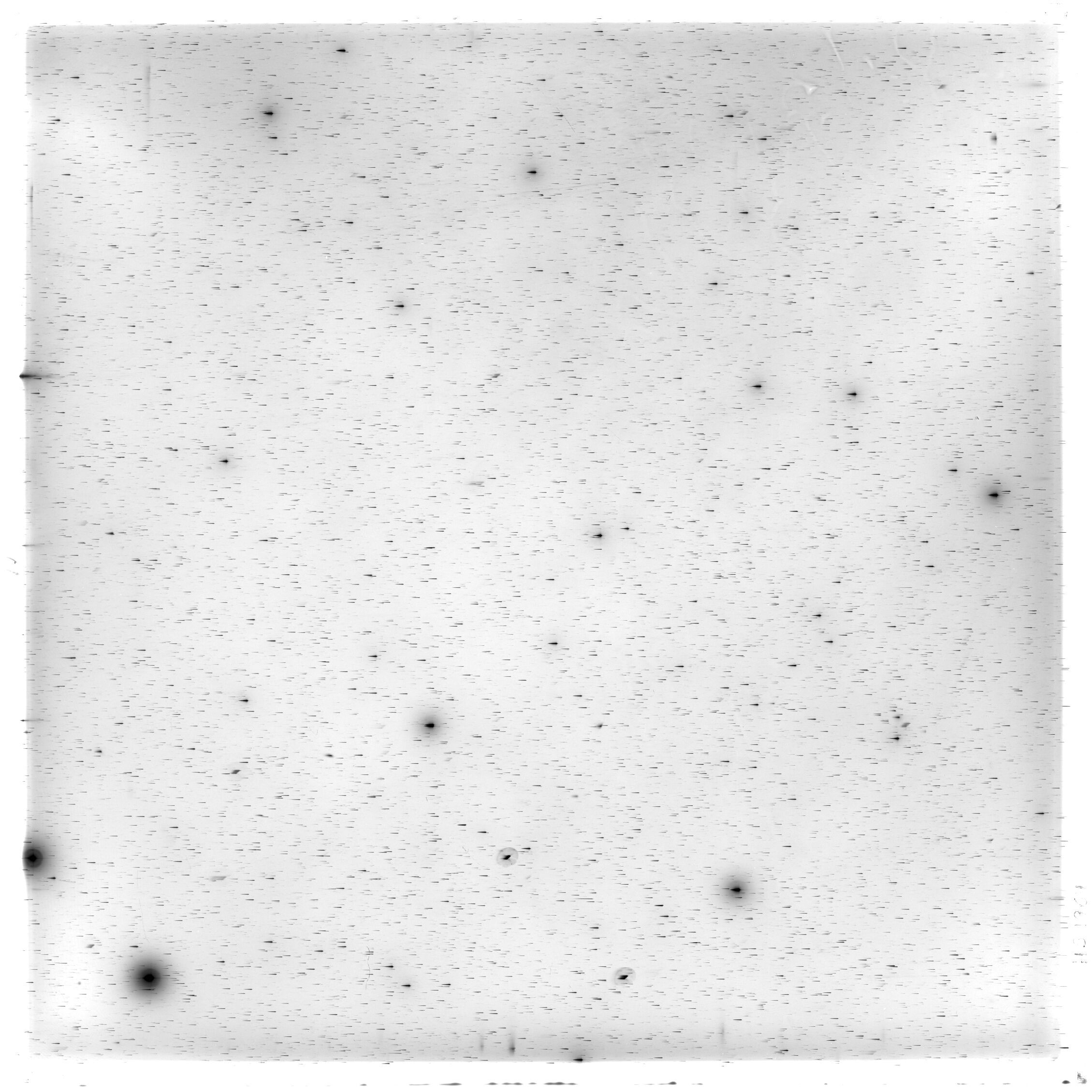 Scan HS01964