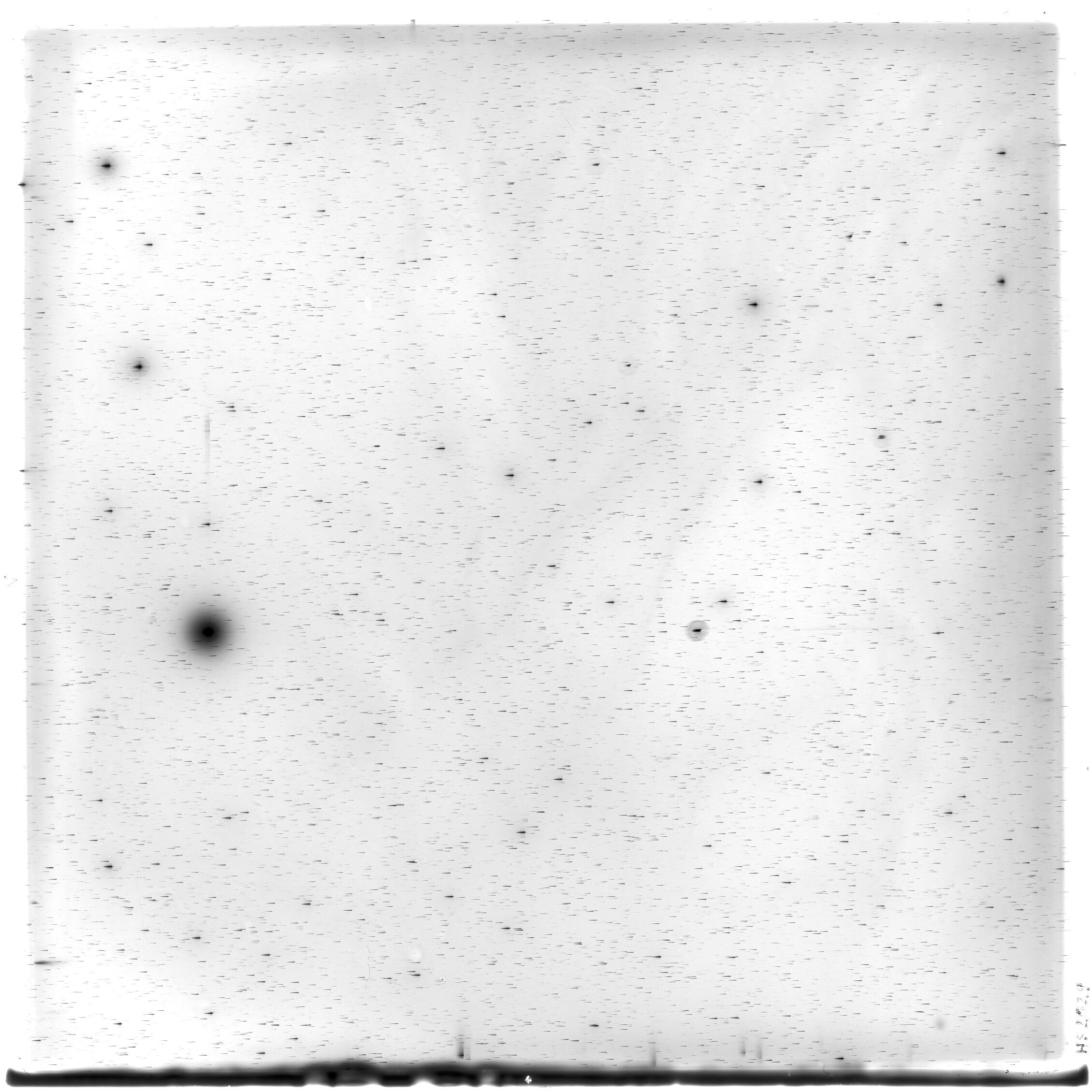 Scan HS02029