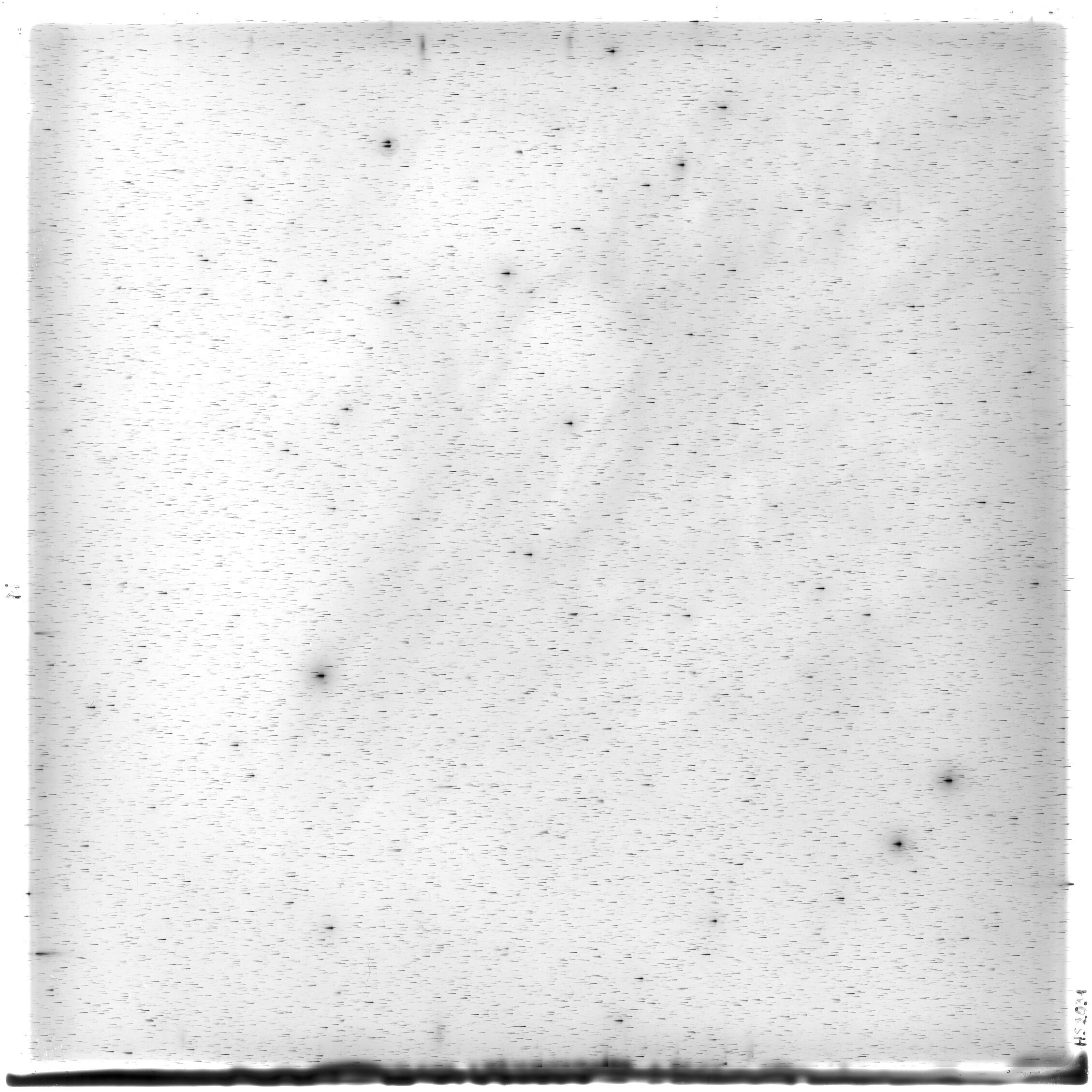 Scan HS02031
