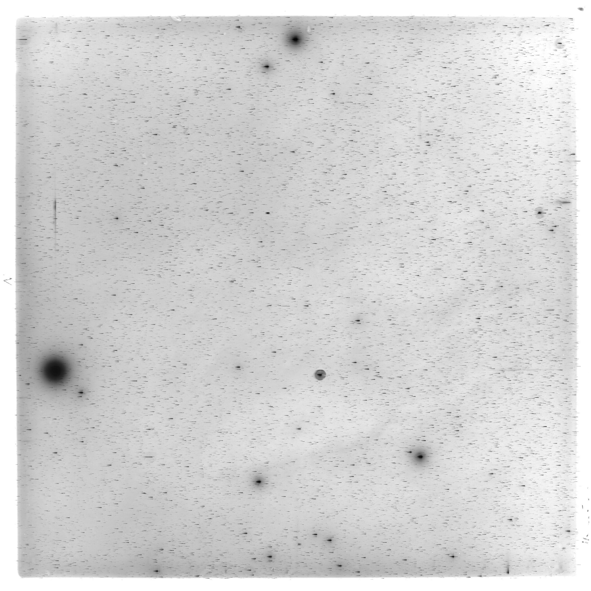 Scan HS02052