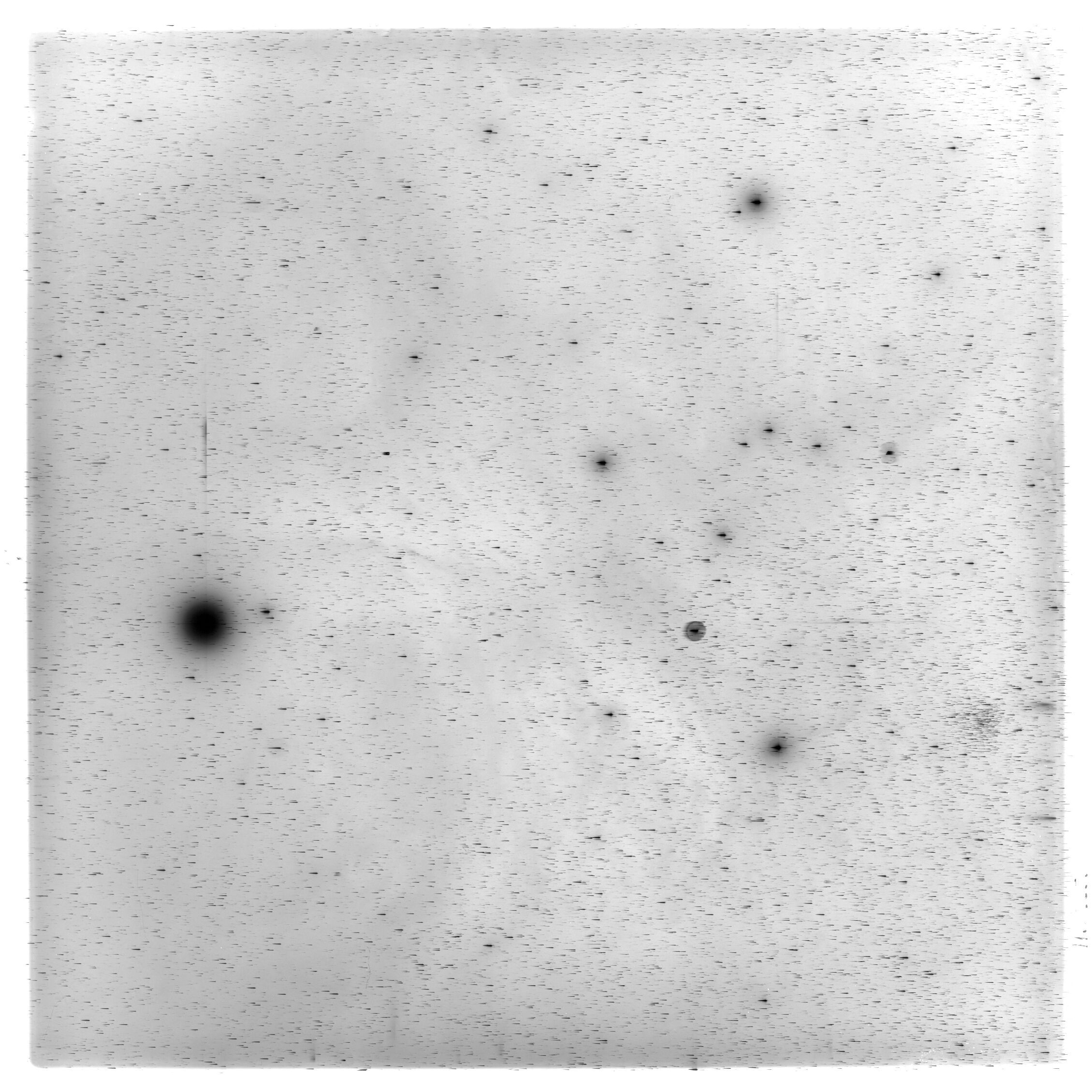 Scan HS02053
