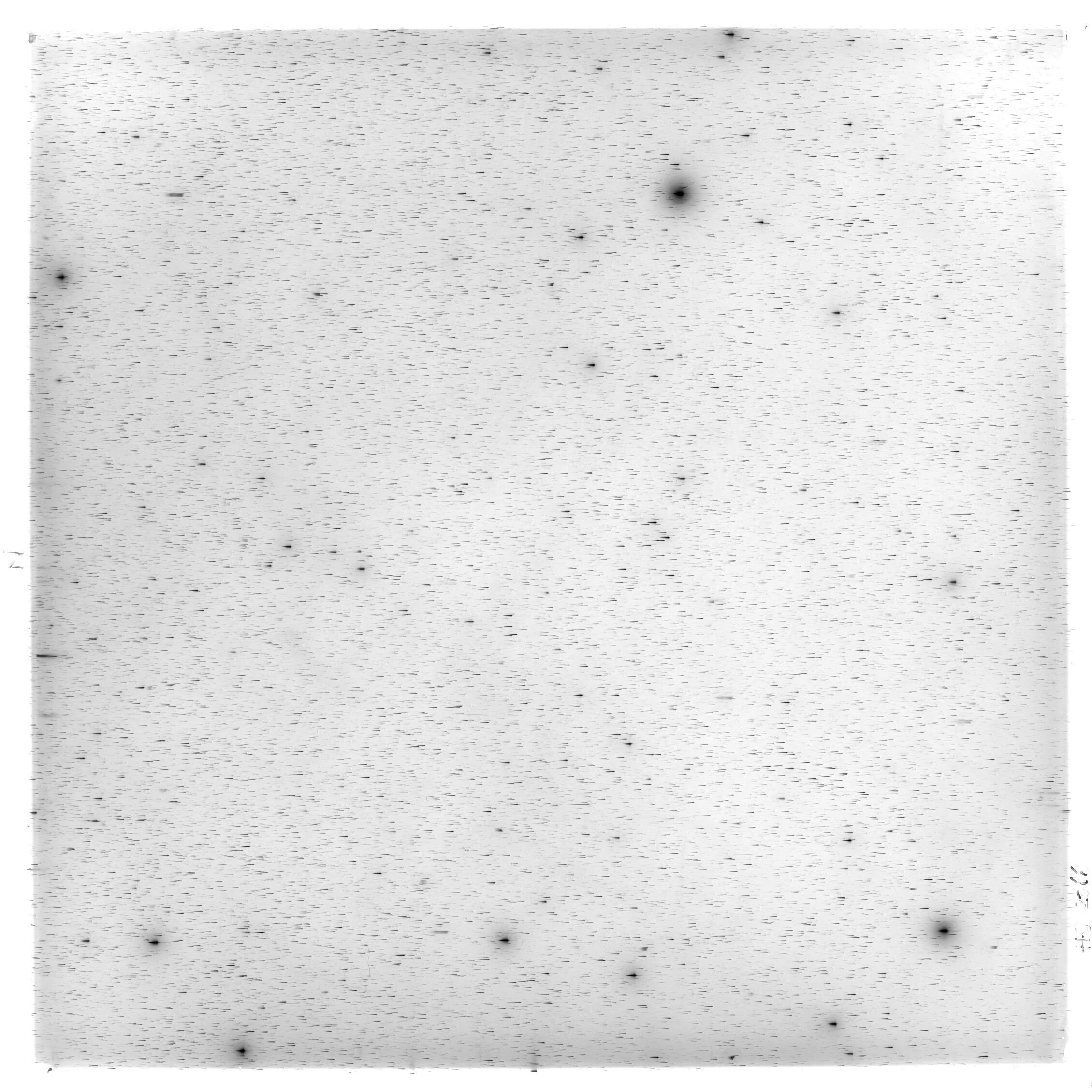 Scan HS02066