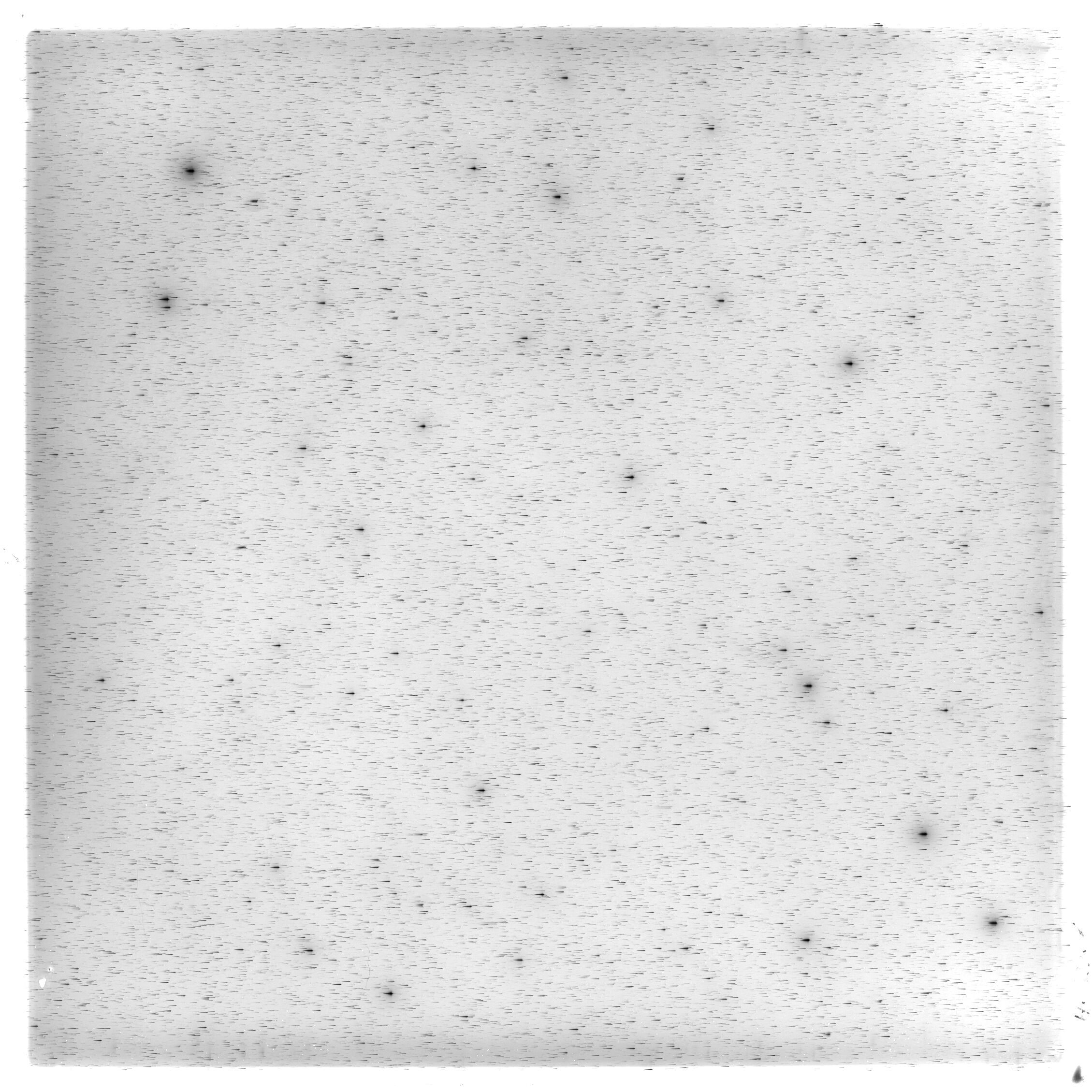 Scan HS02068