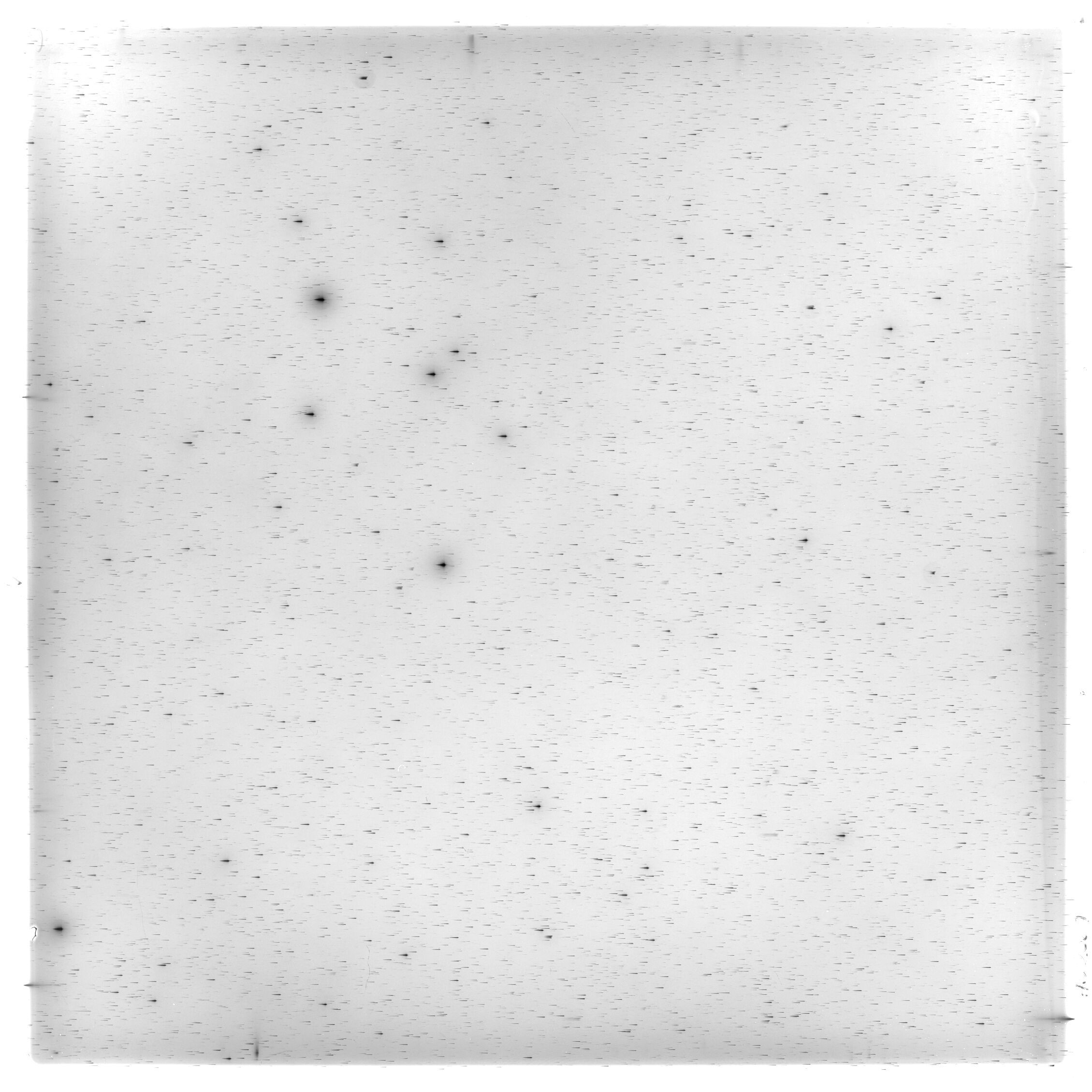 Scan HS02069