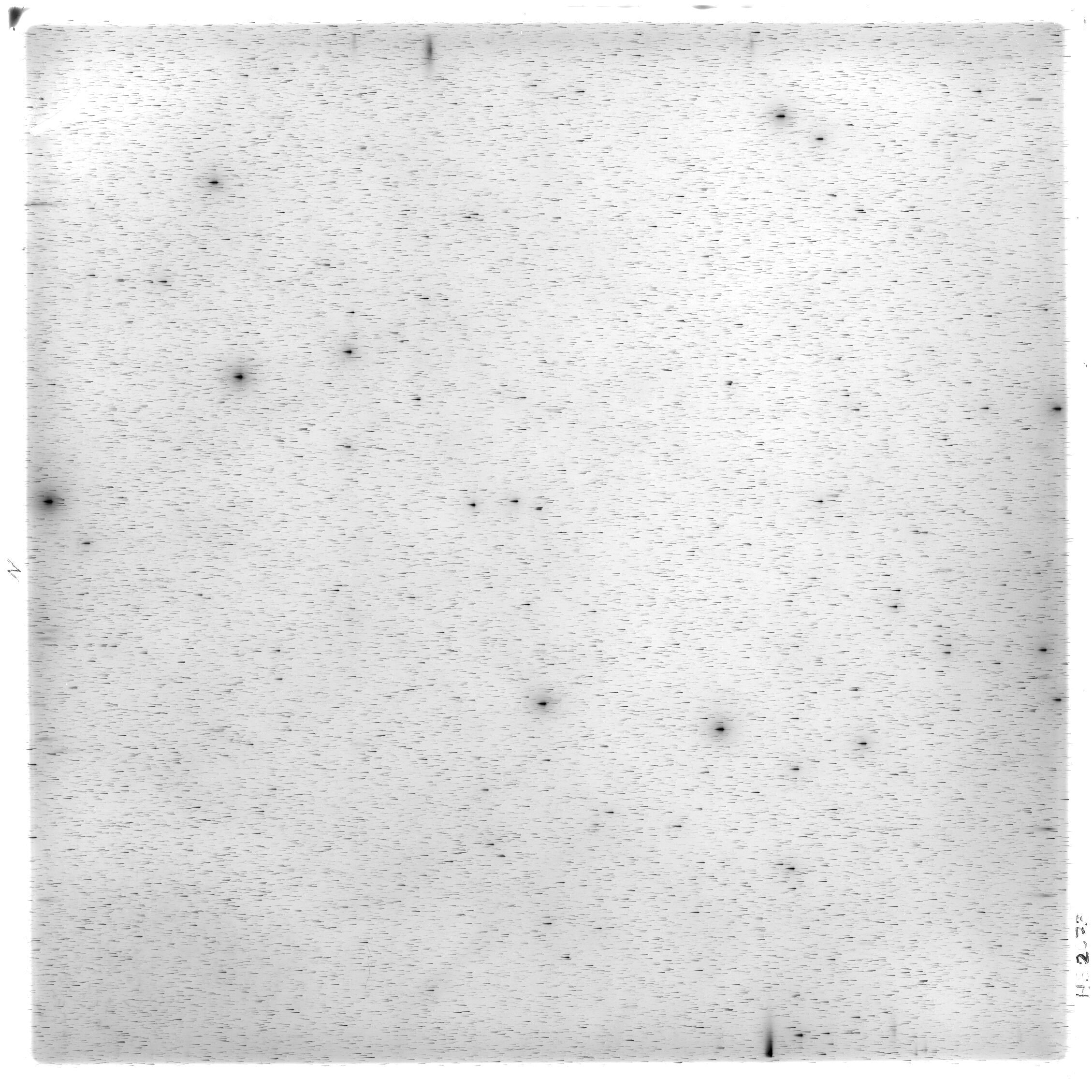 Scan HS02073