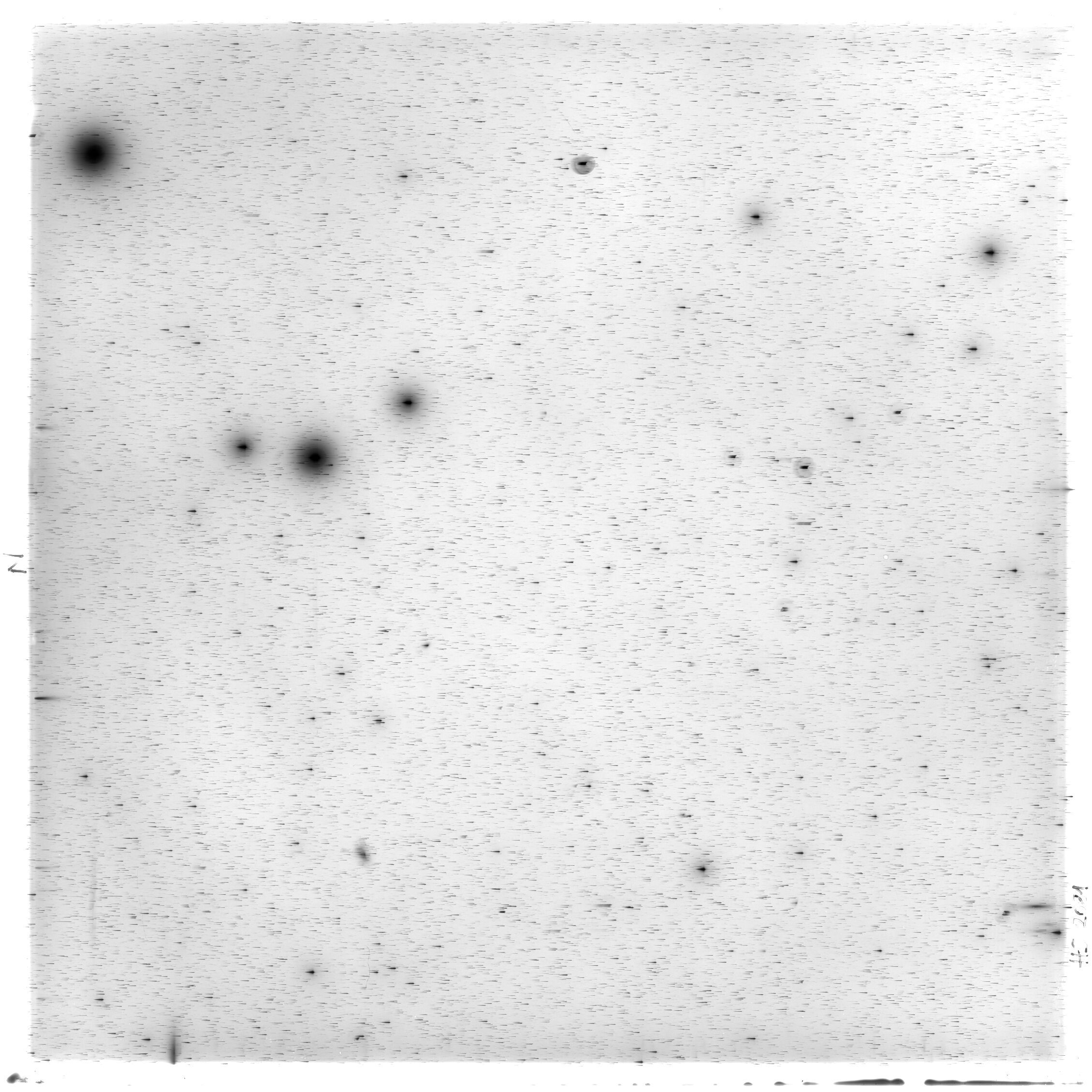 Scan HS02081