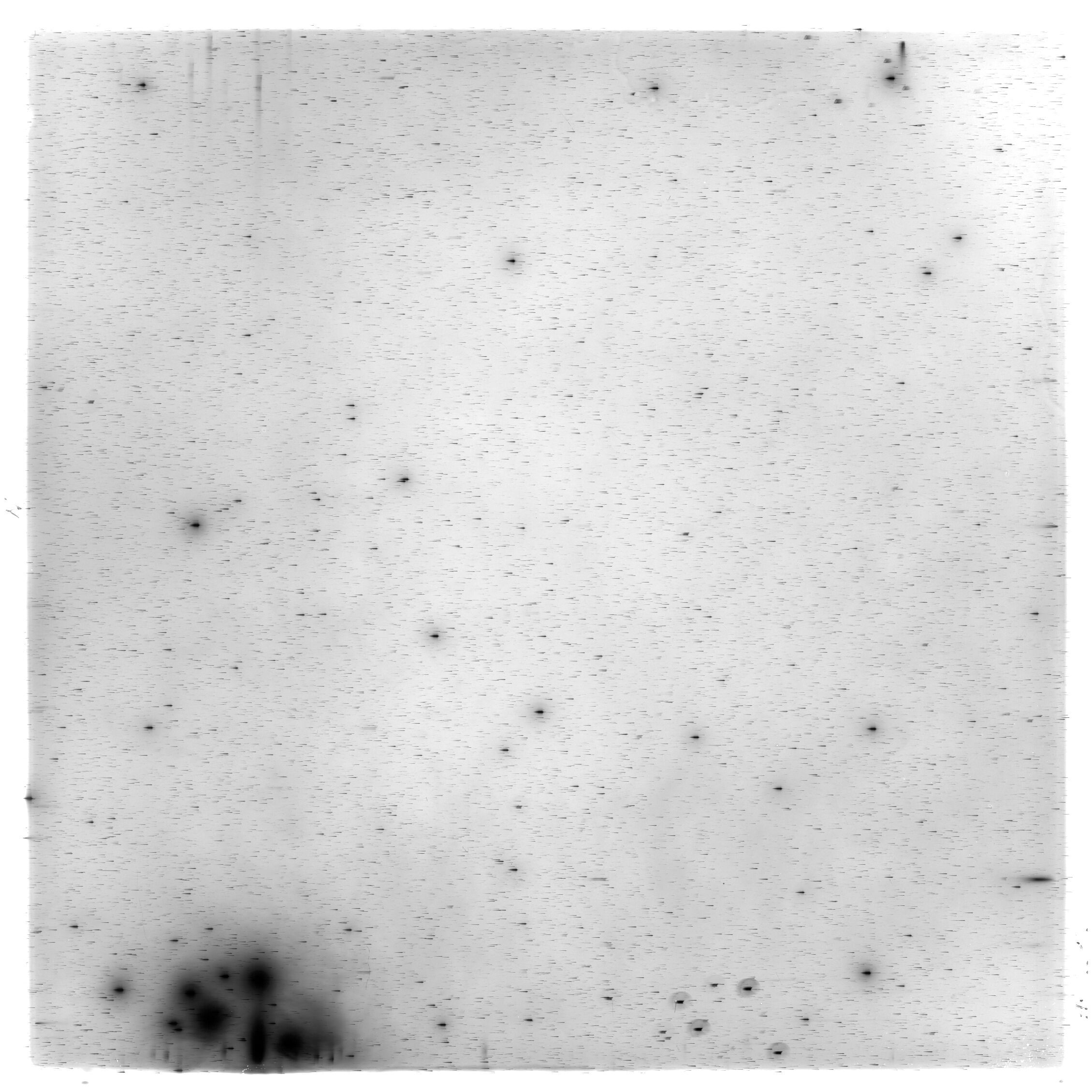 Scan HS02082