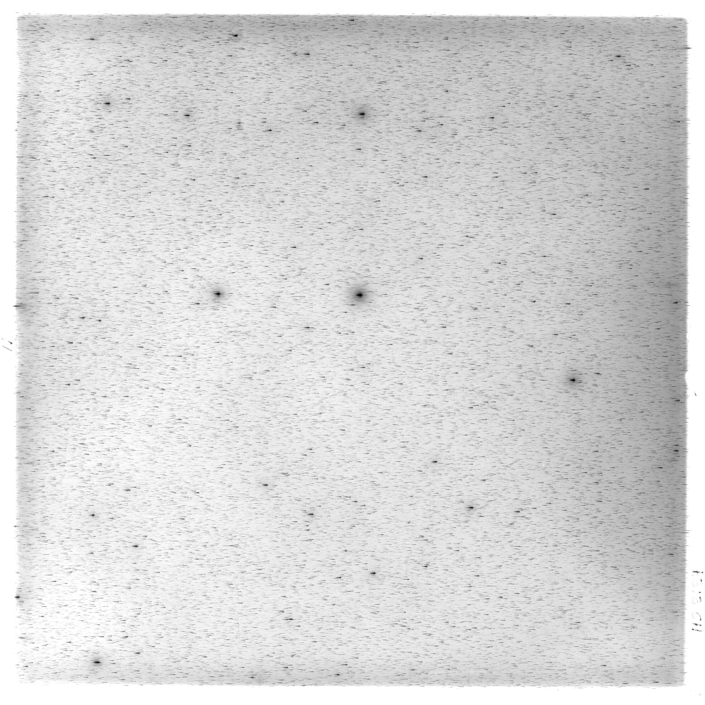 Scan HS02124