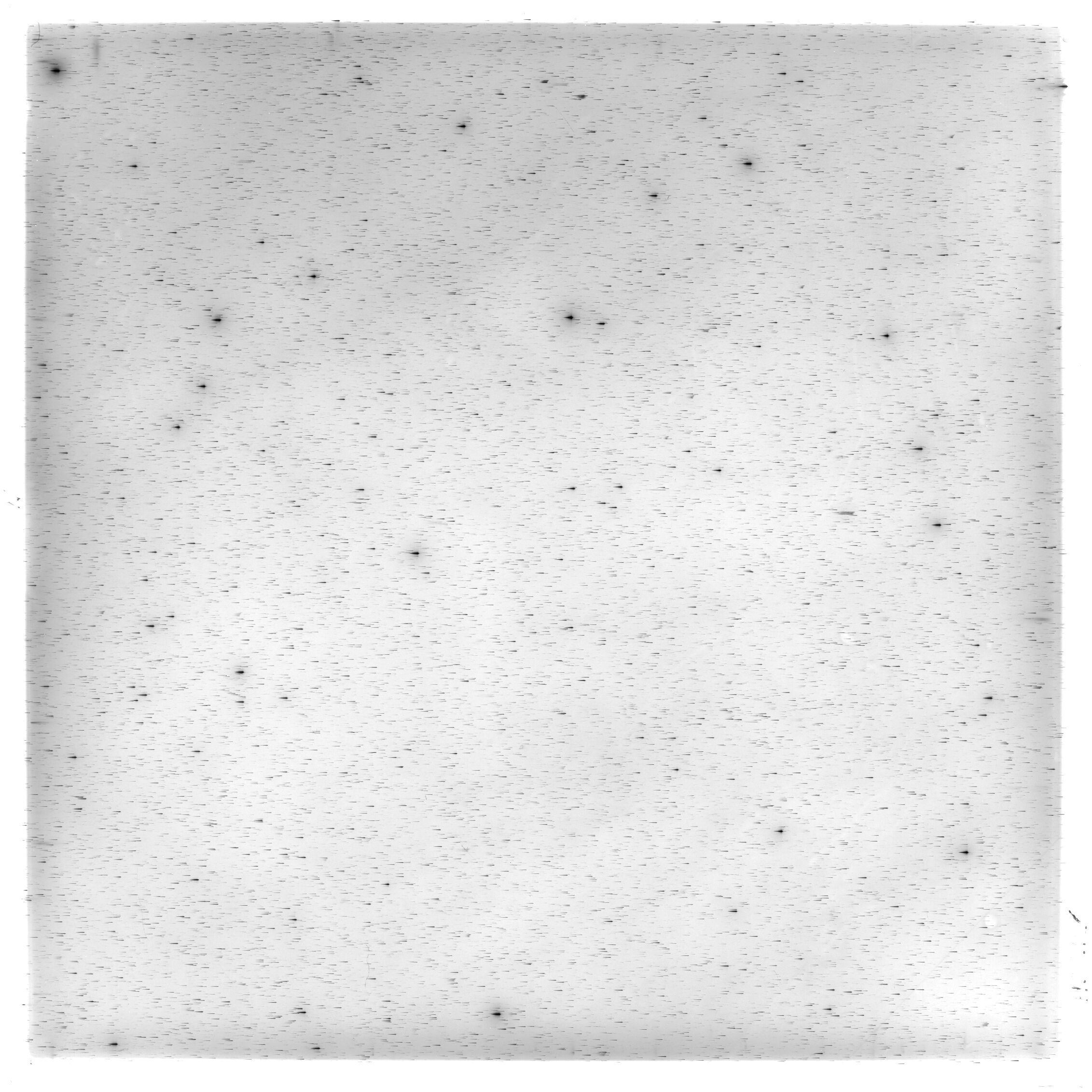 Scan HS02126