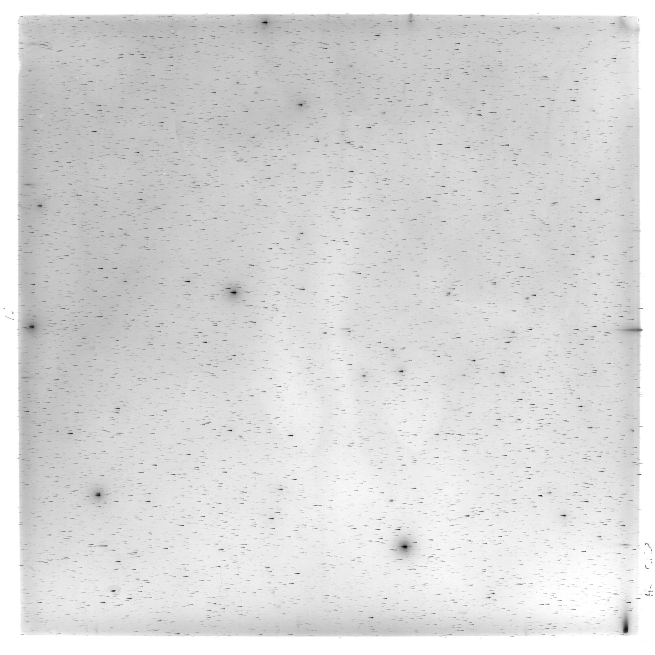 Scan HS02128