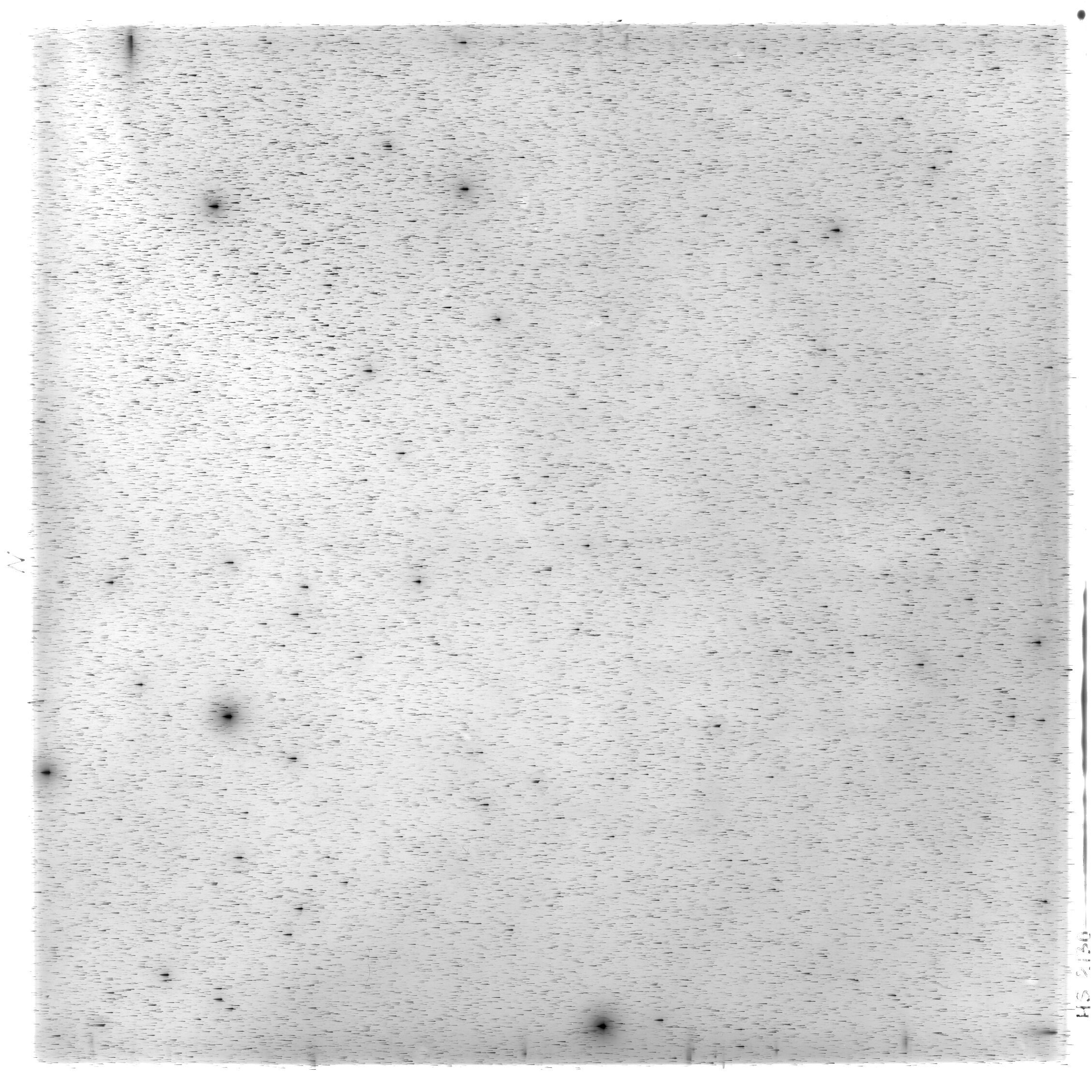 Scan HS02130