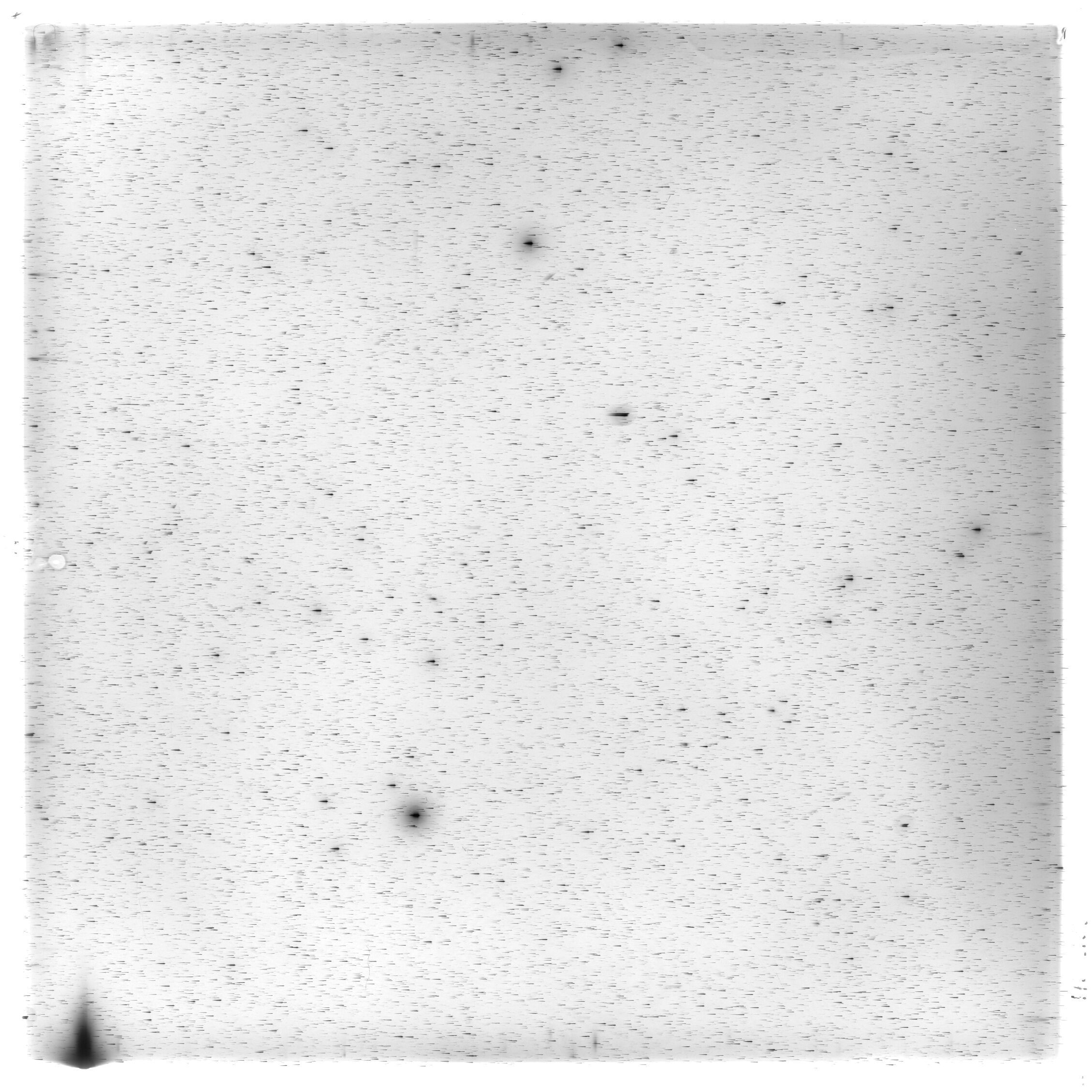 Scan HS02133