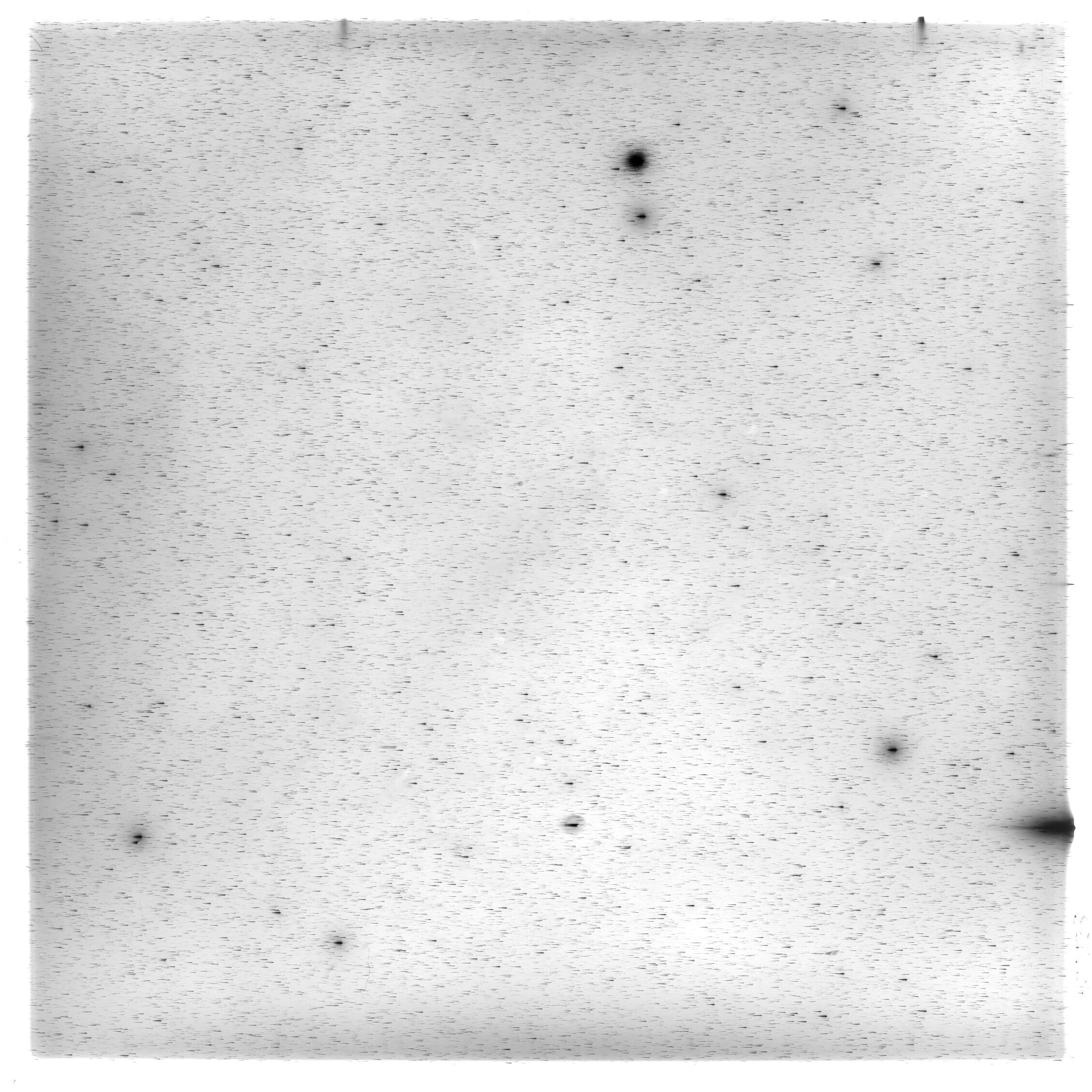Scan HS02135