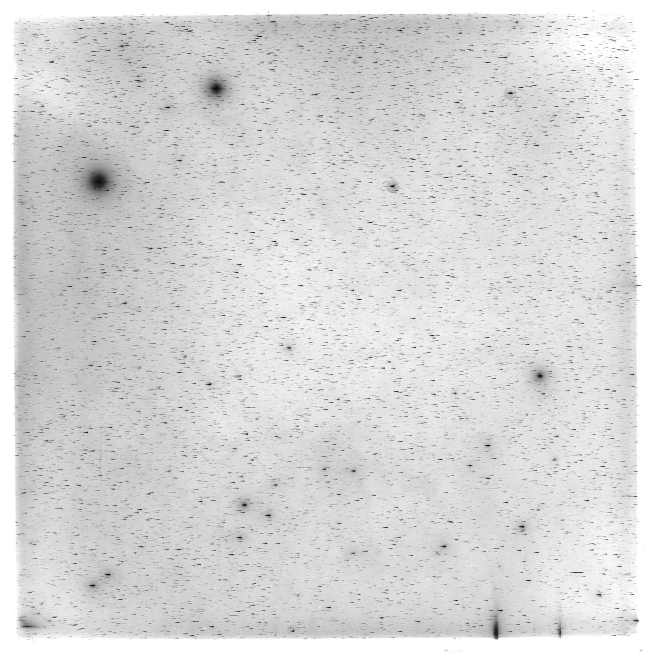 Scan HS02136