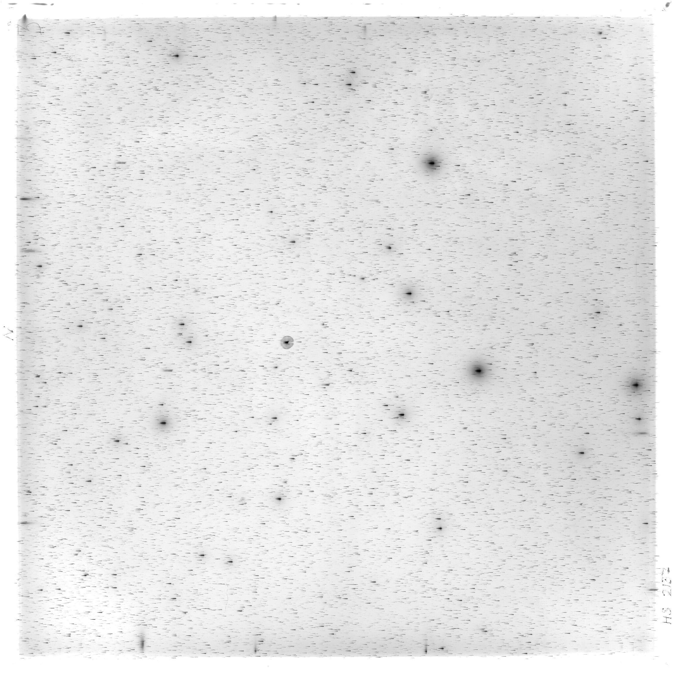 Scan HS02137