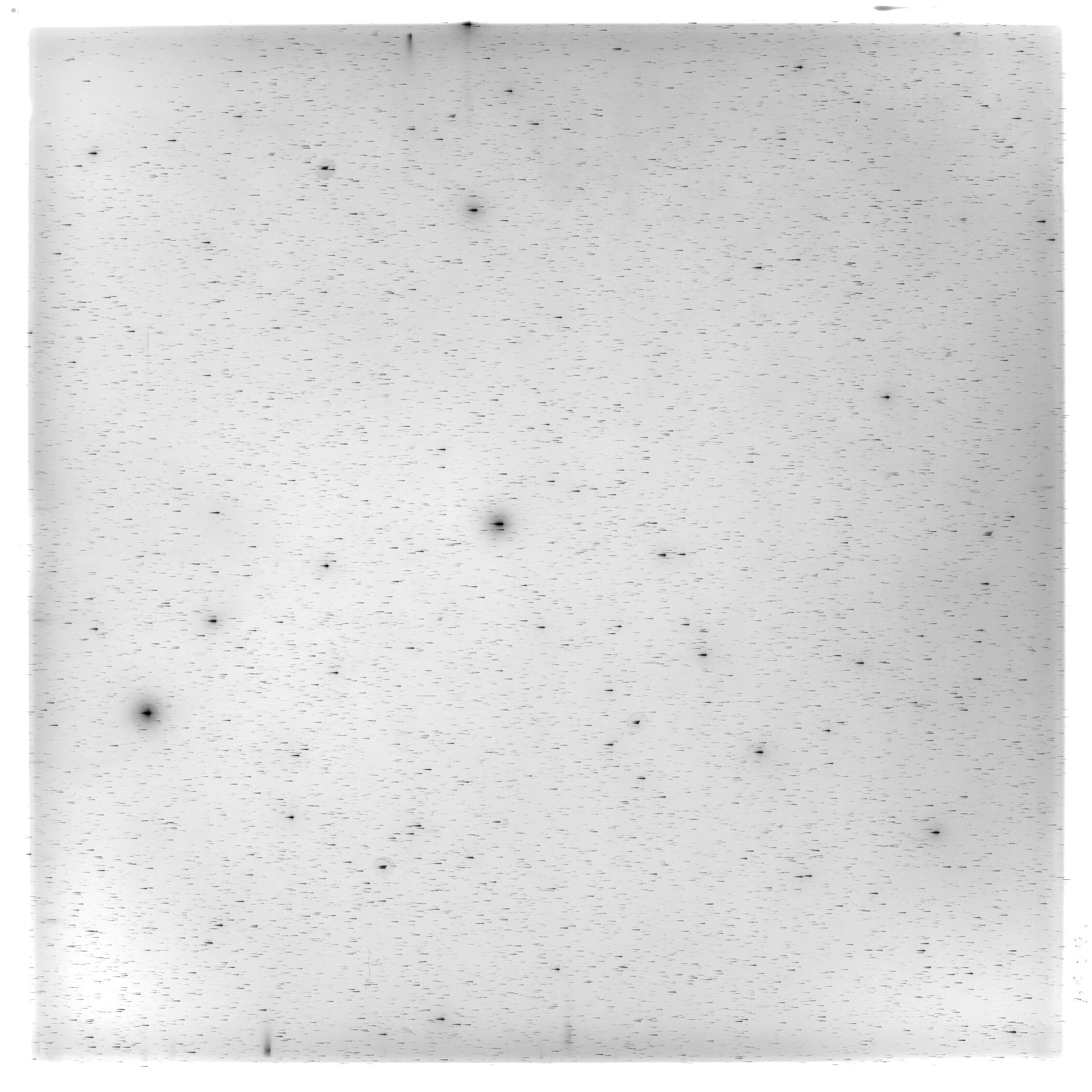 Scan HS02139