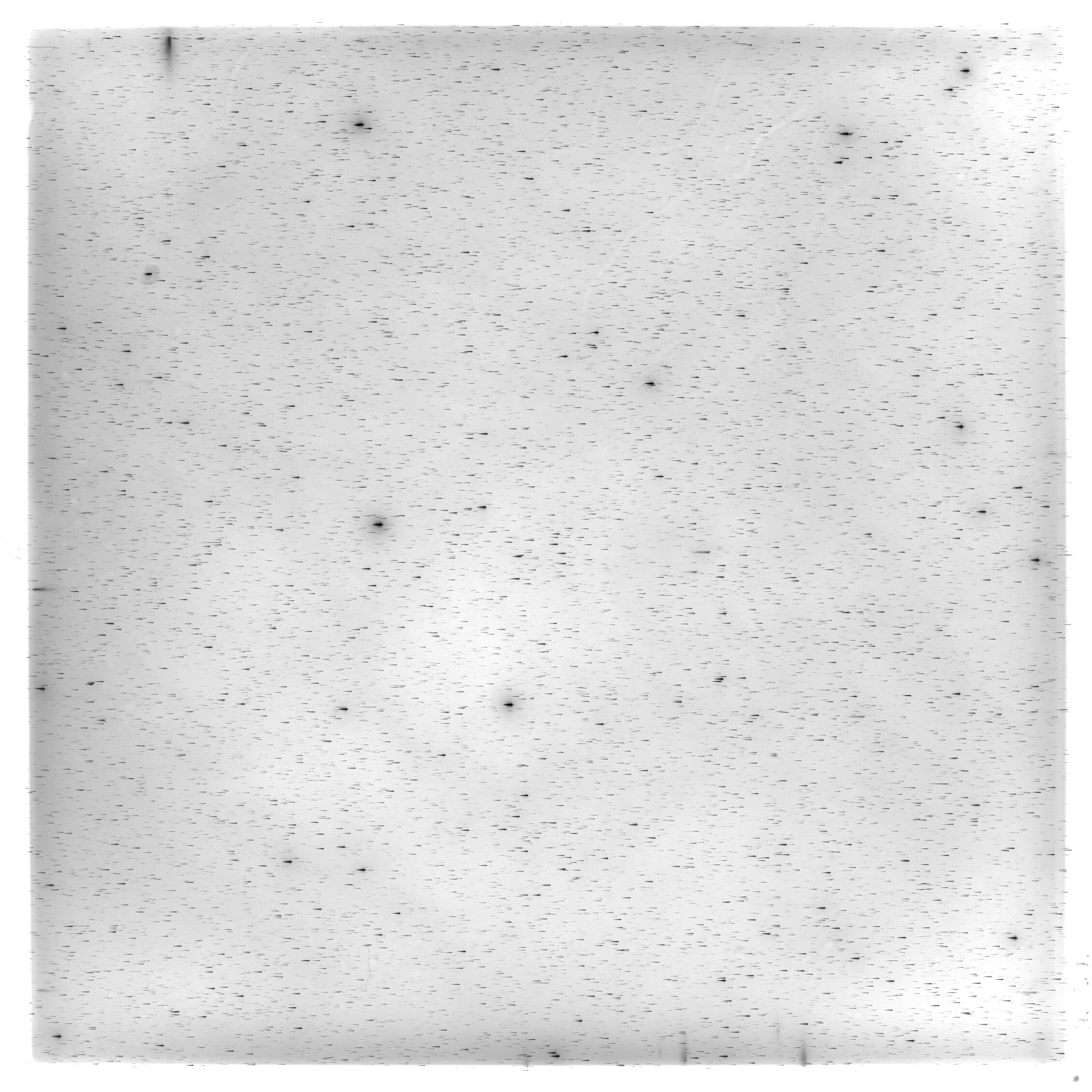 Scan HS02141
