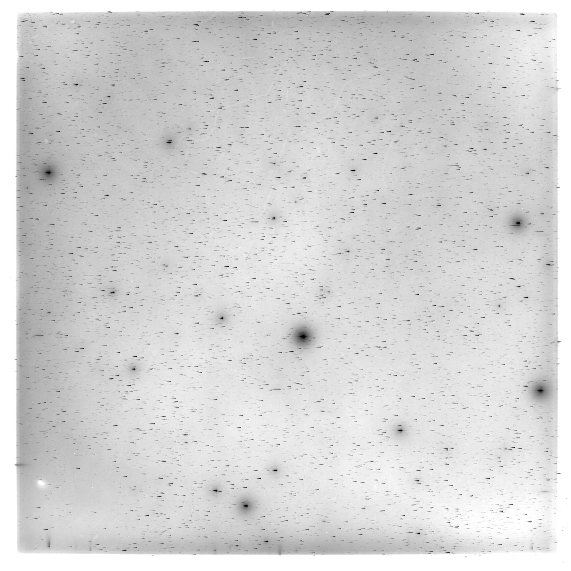 Scan HS02142