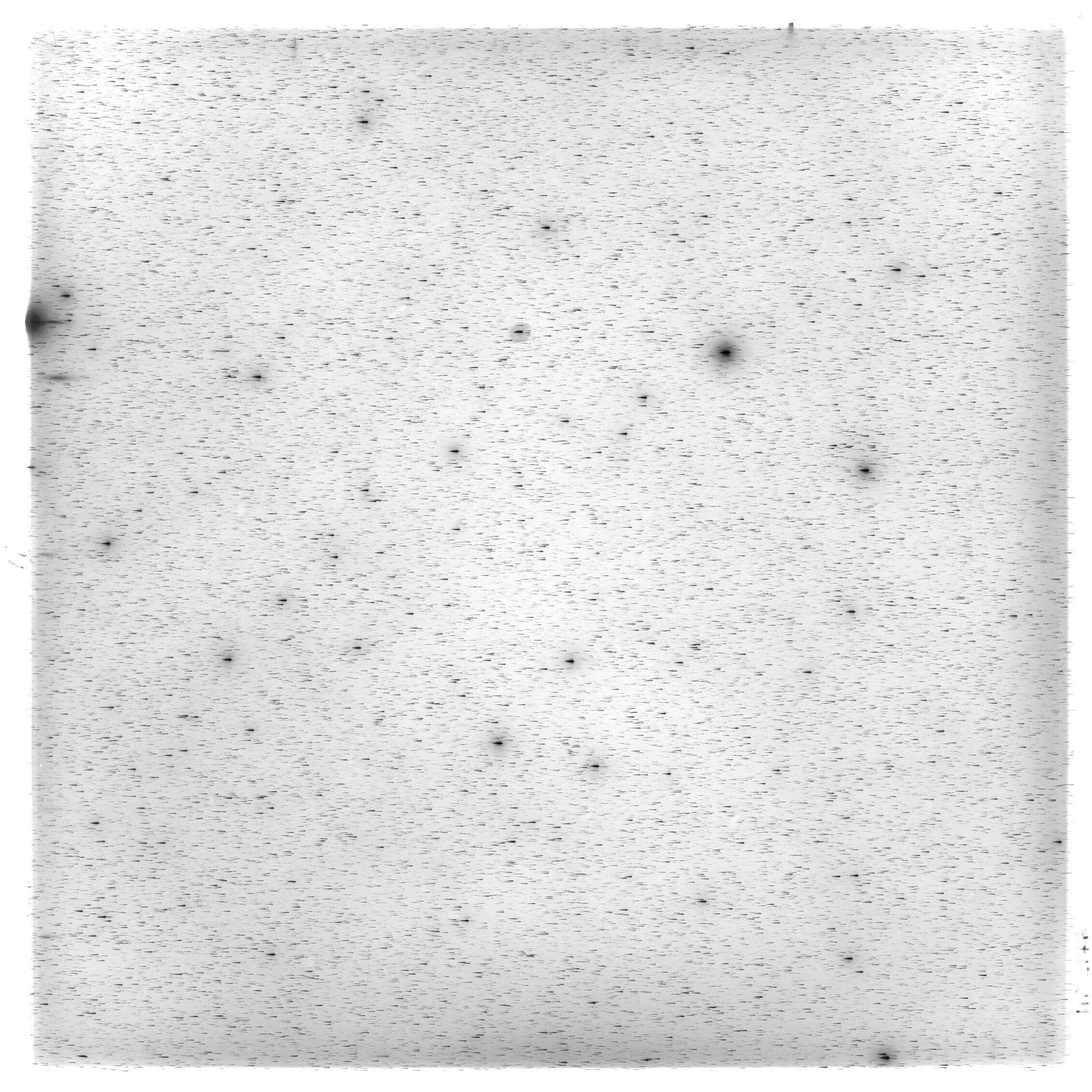 Scan HS02146