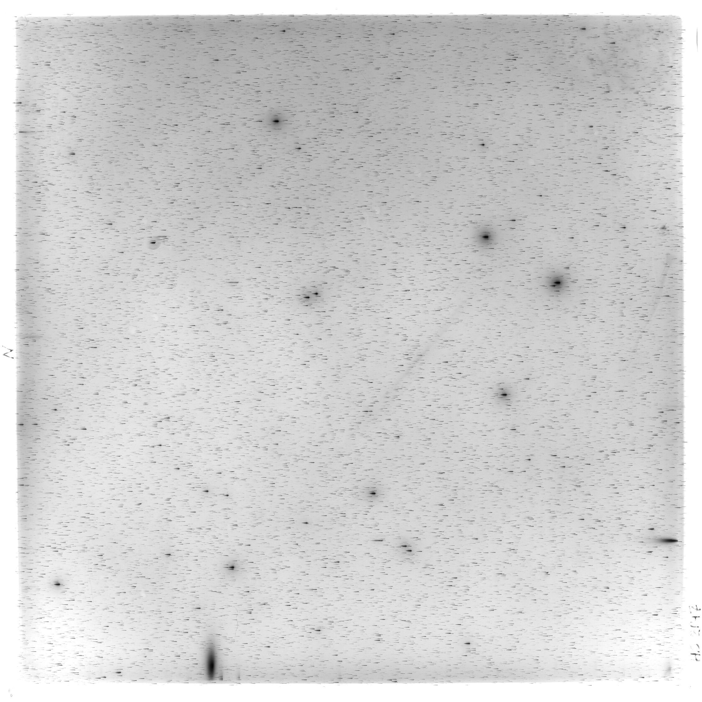 Scan HS02147
