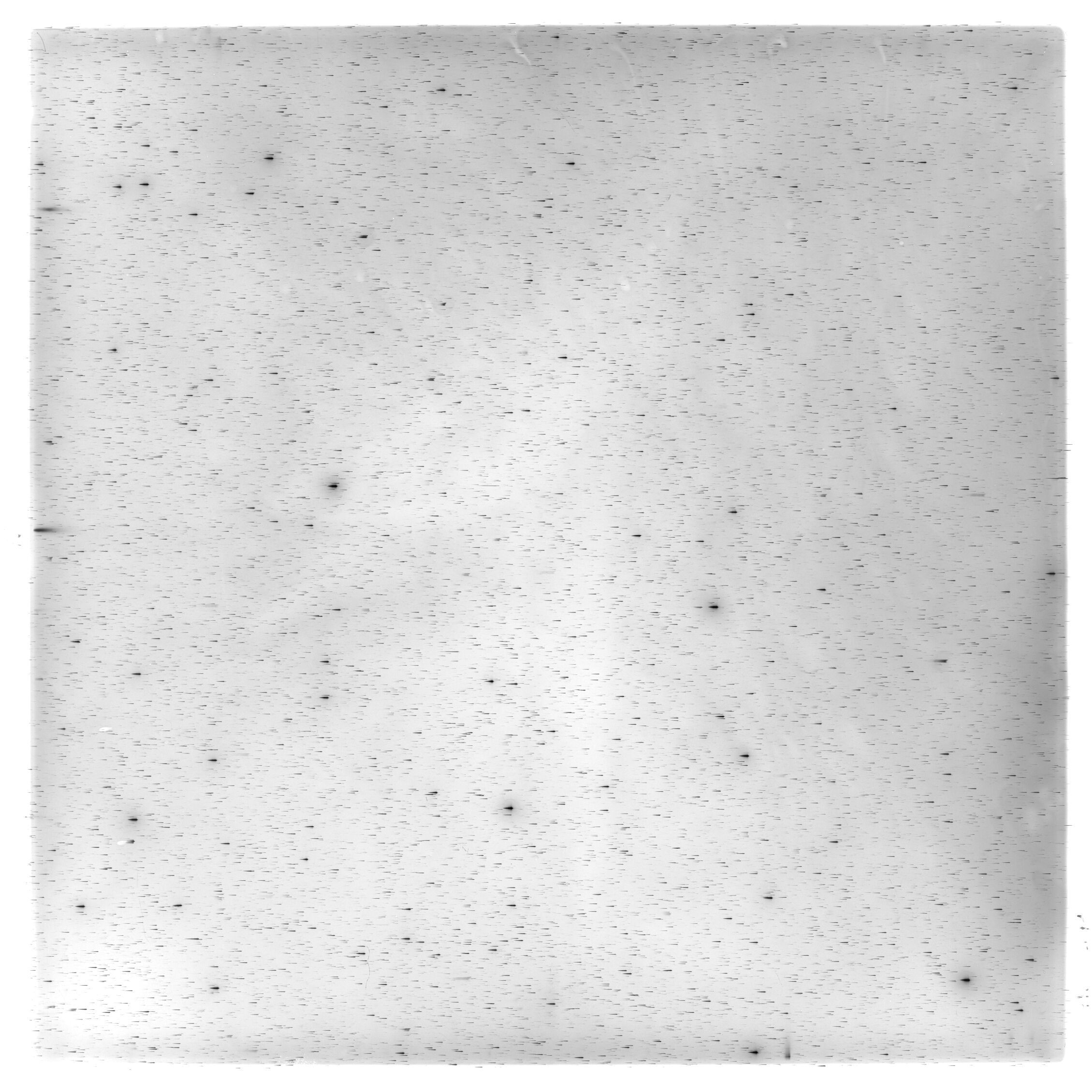 Scan HS02148