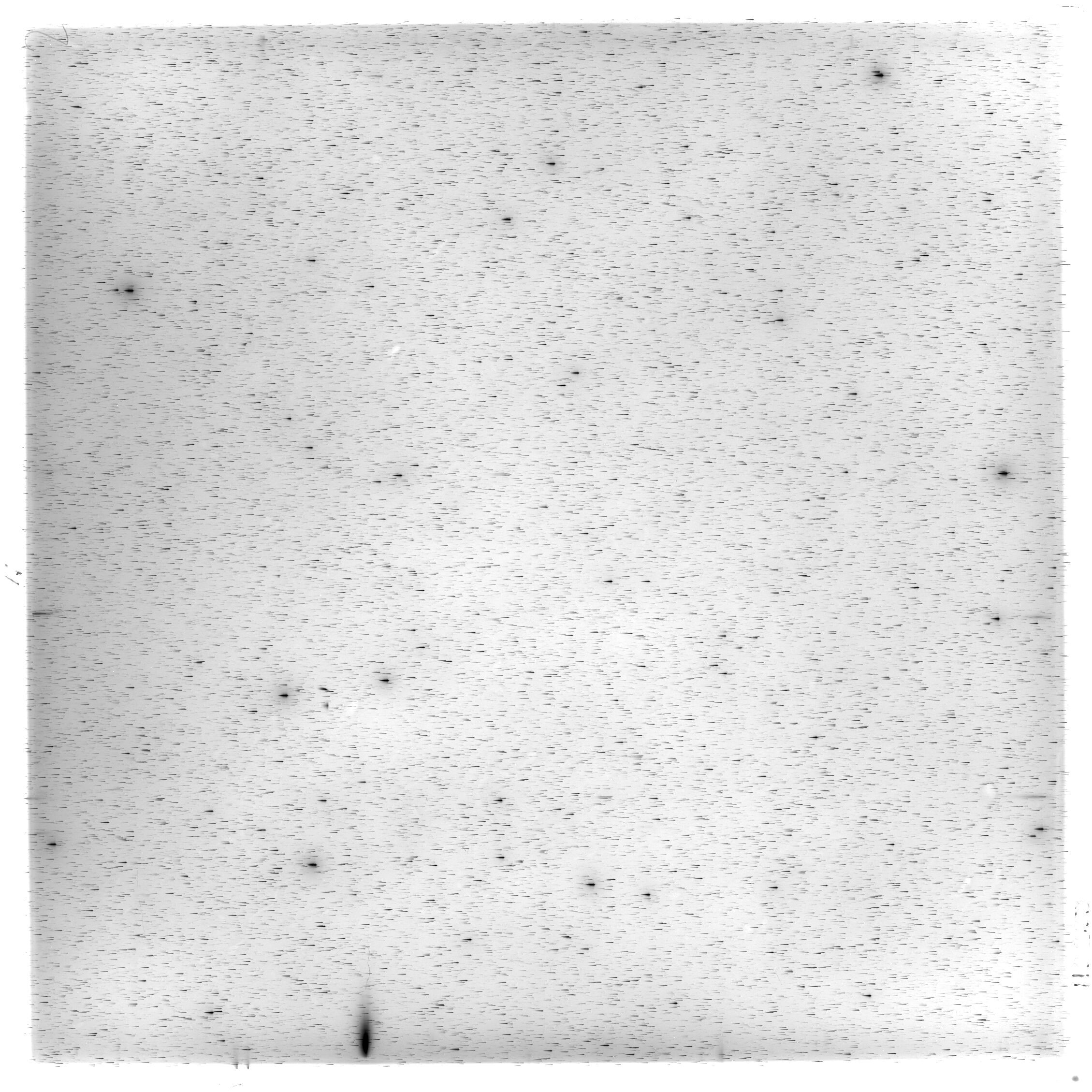 Scan HS02153