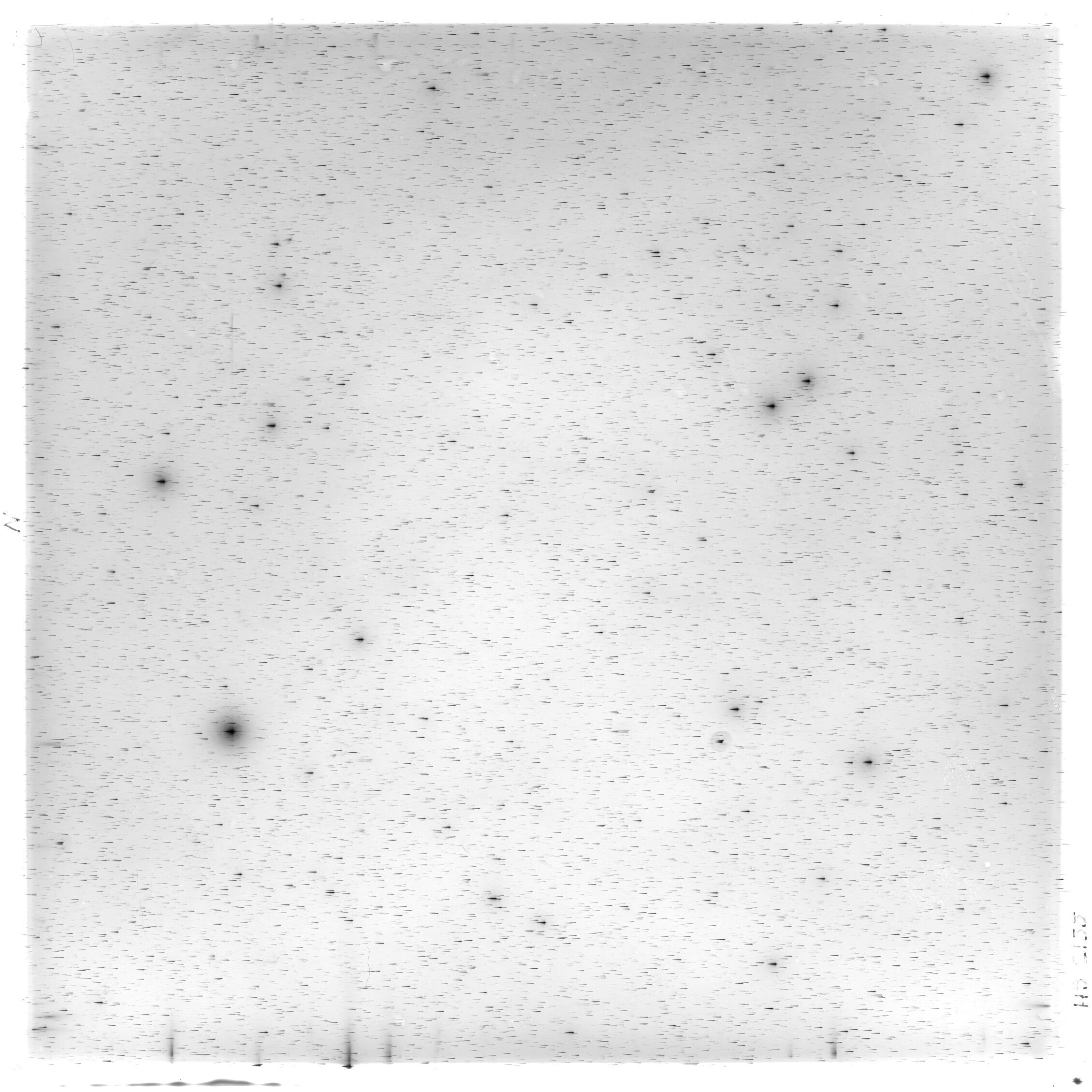 Scan HS02155