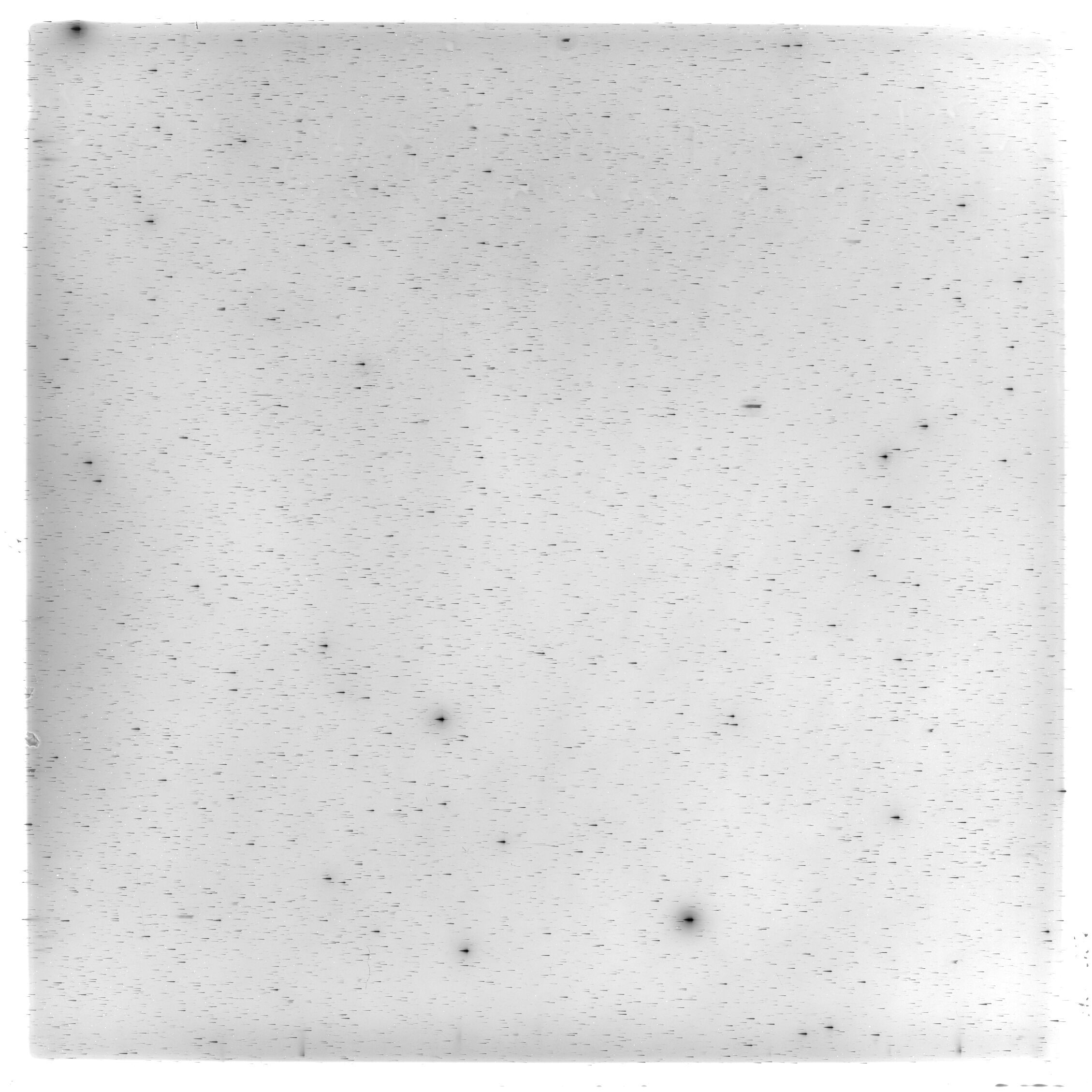 Scan HS02156