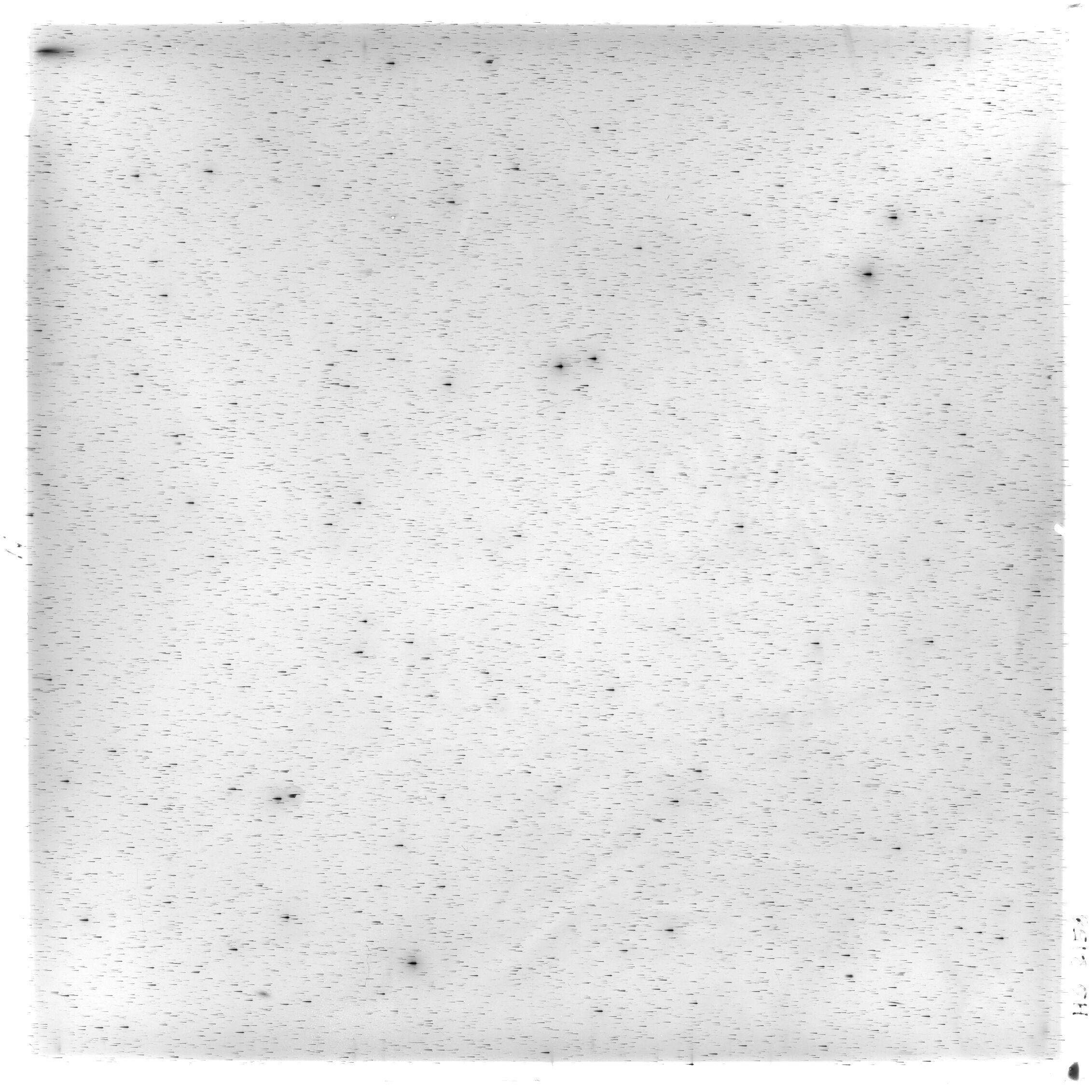 Scan HS02158