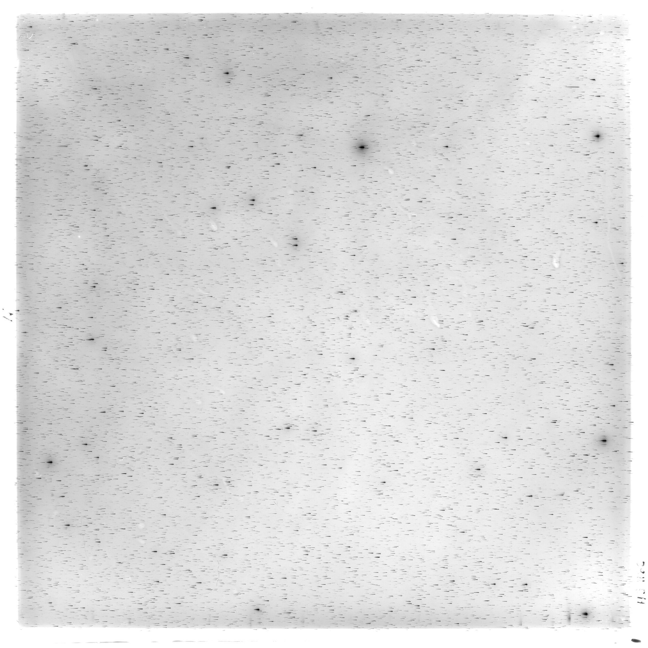 Scan HS02160