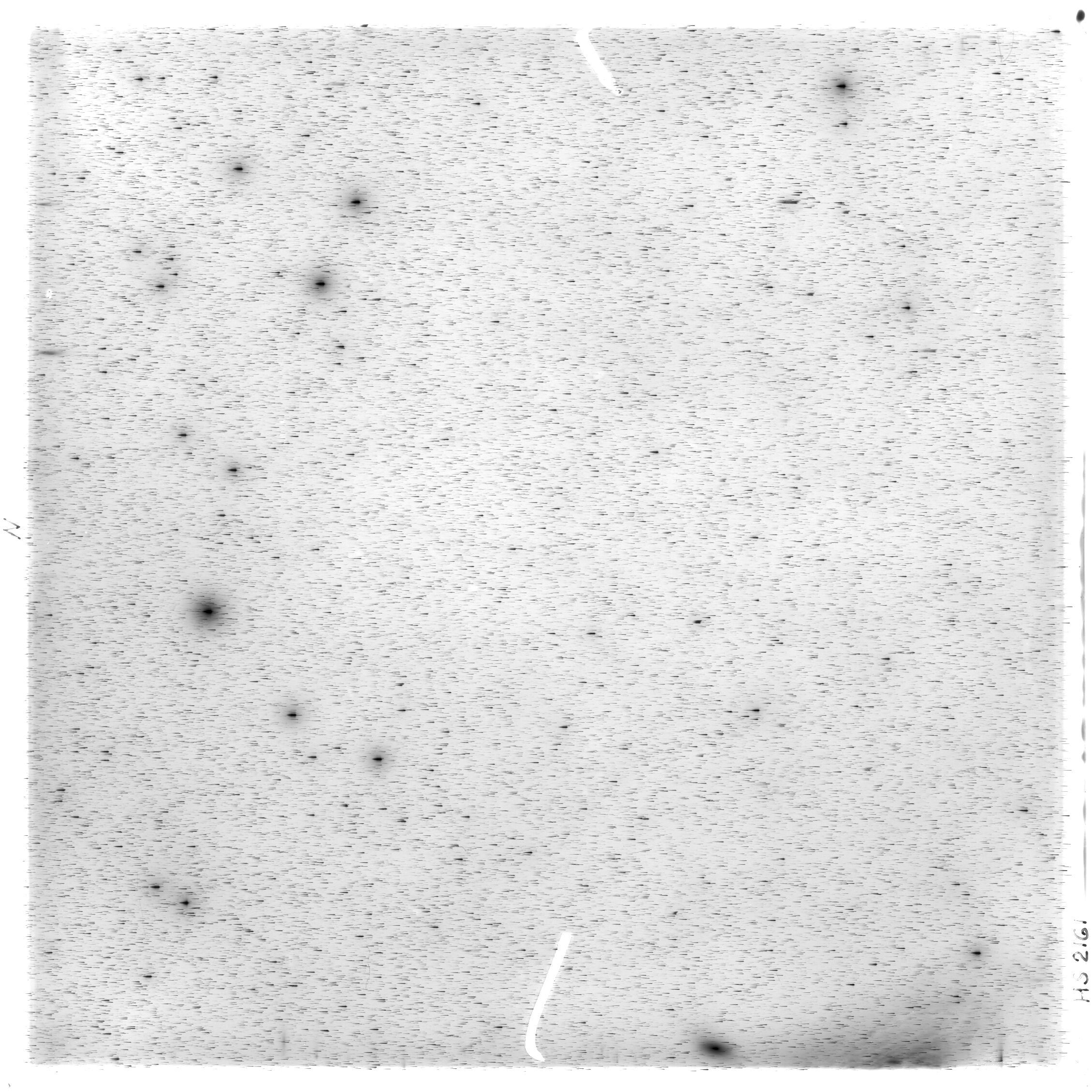 Scan HS02161