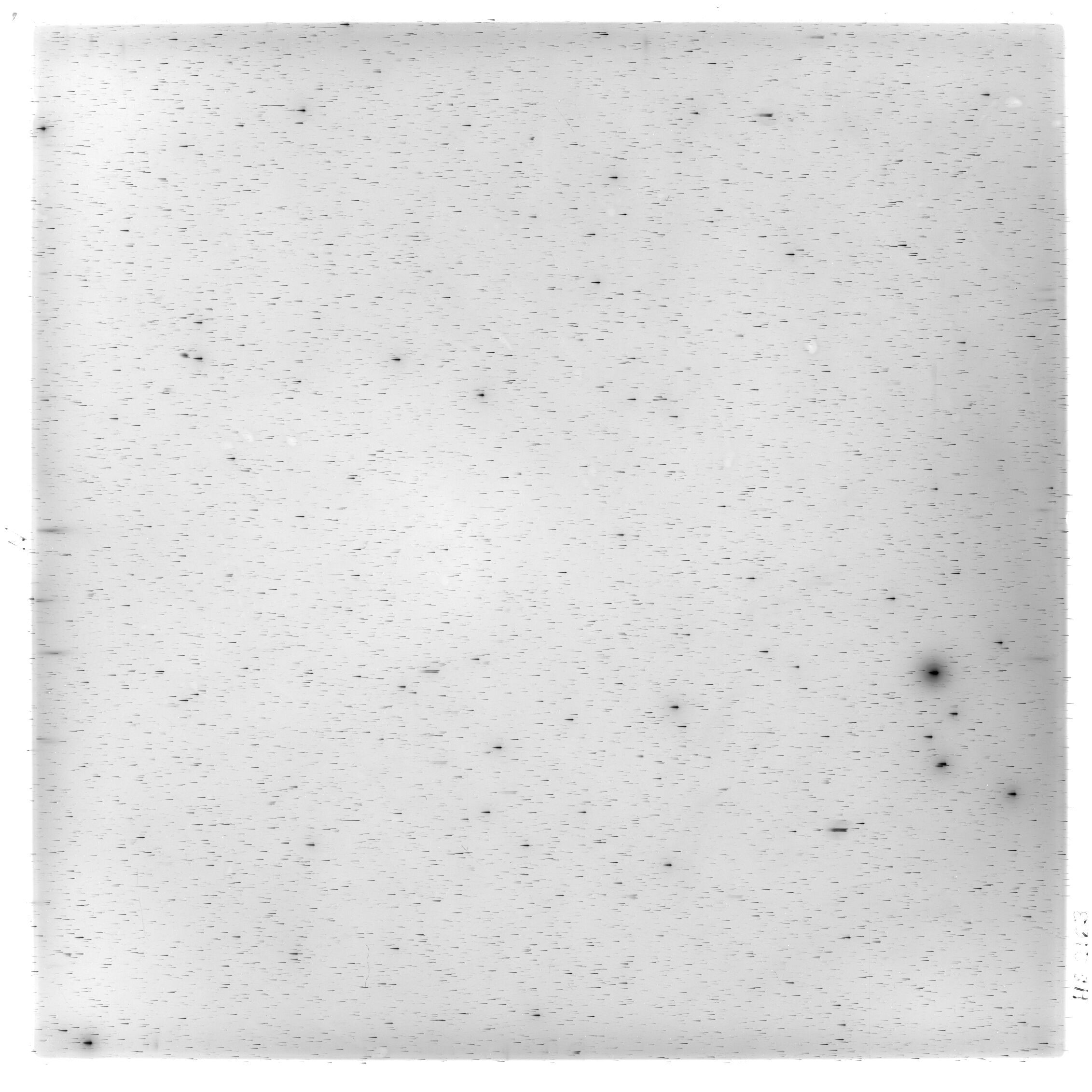 Scan HS02163