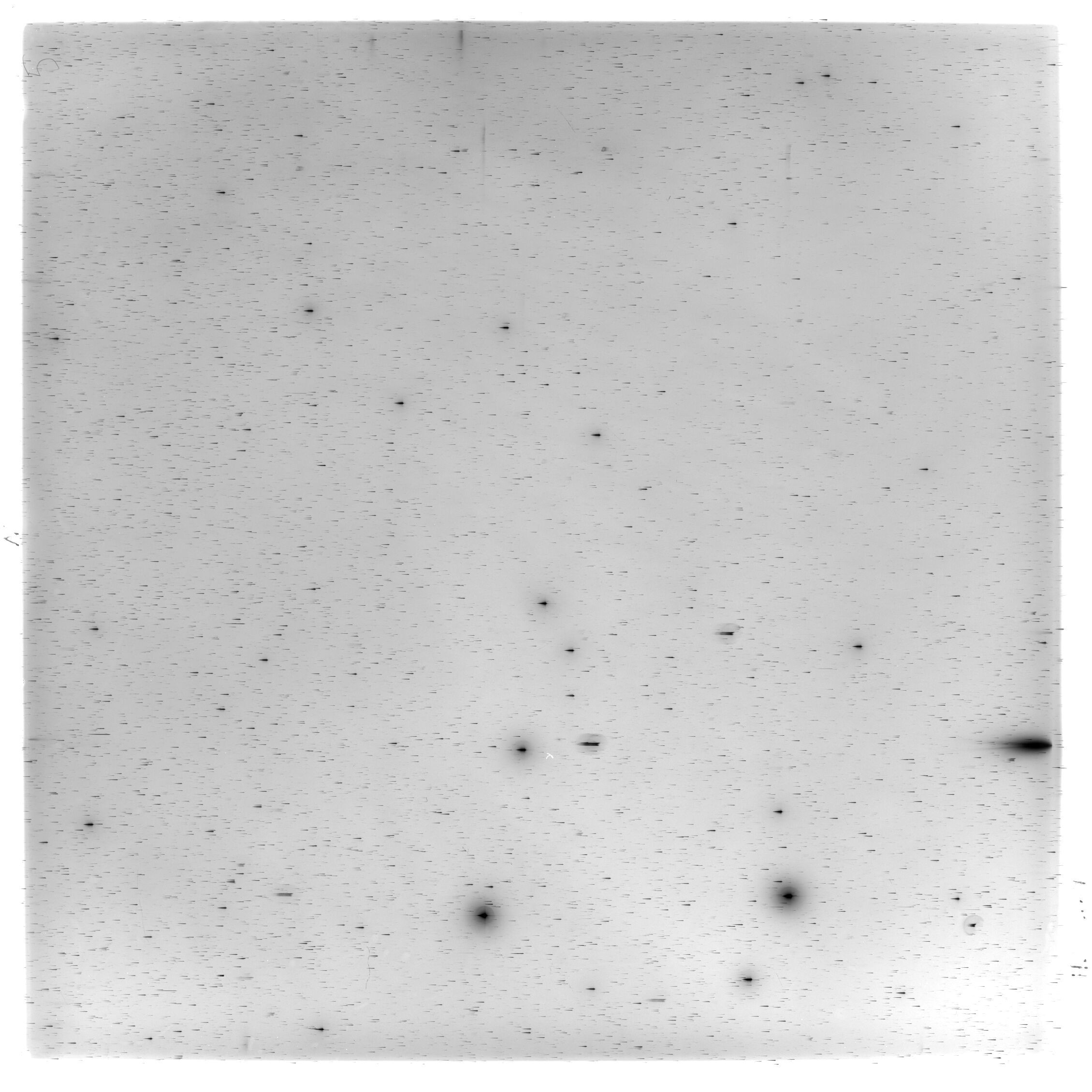 Scan HS02164