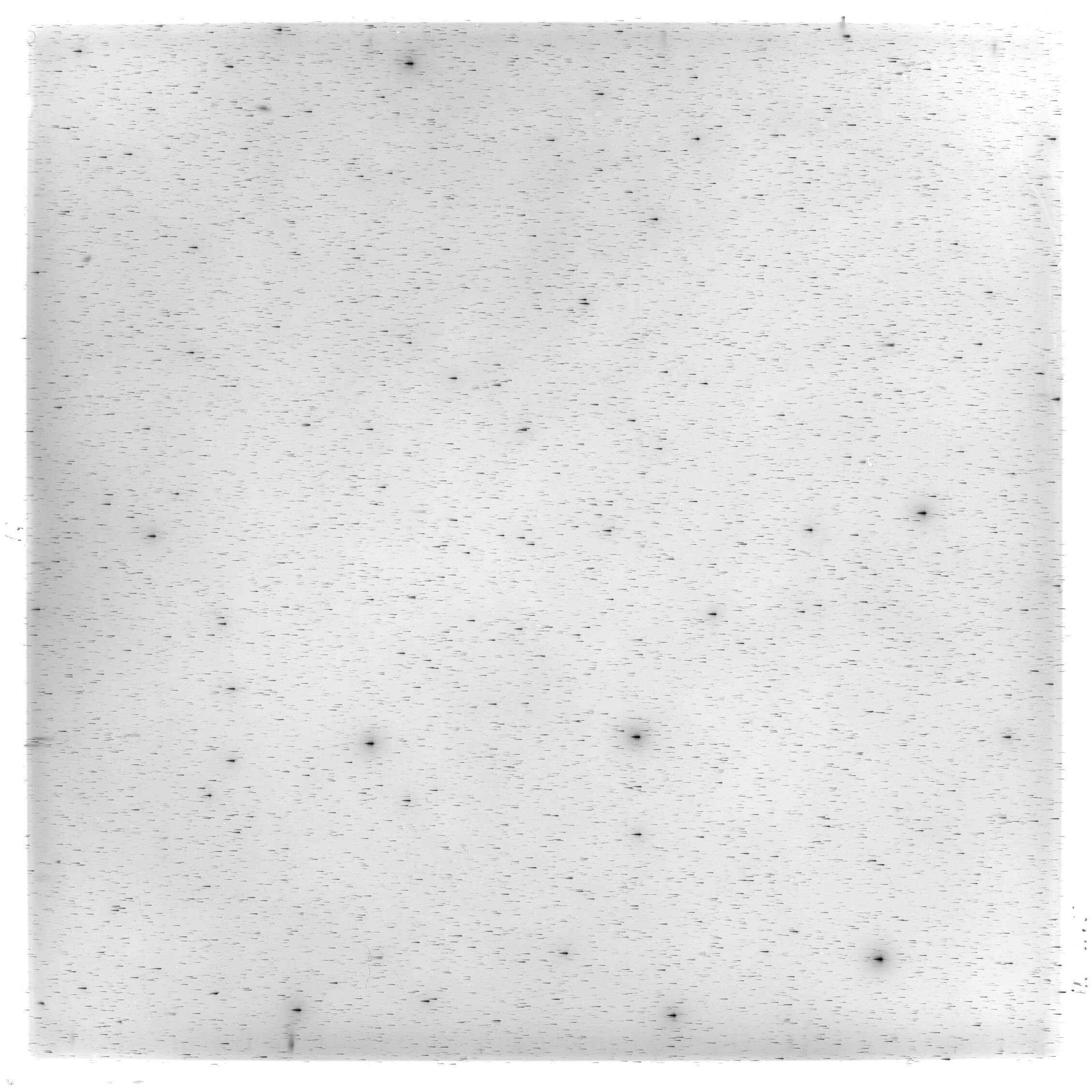 Scan HS02165