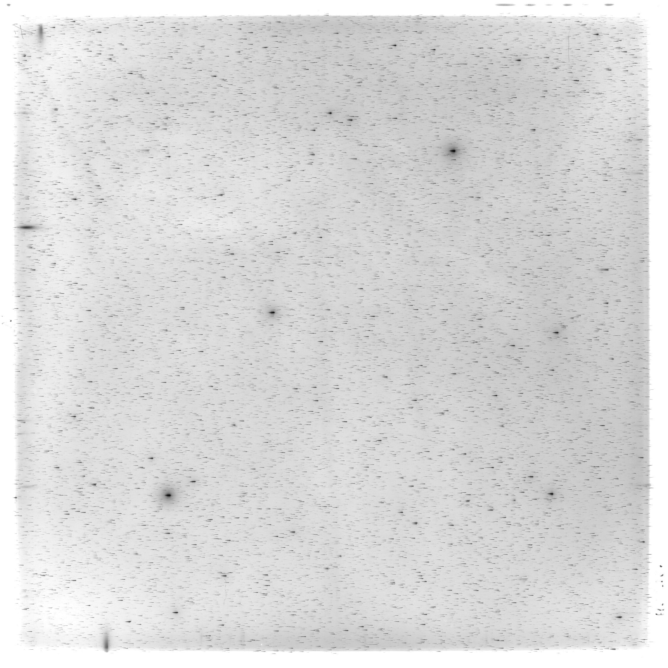 Scan HS02166