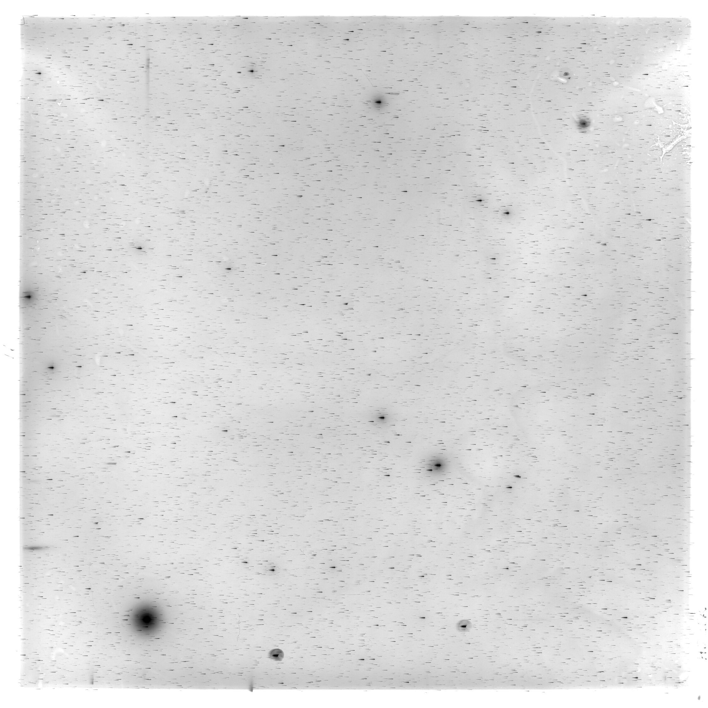 Scan HS02170