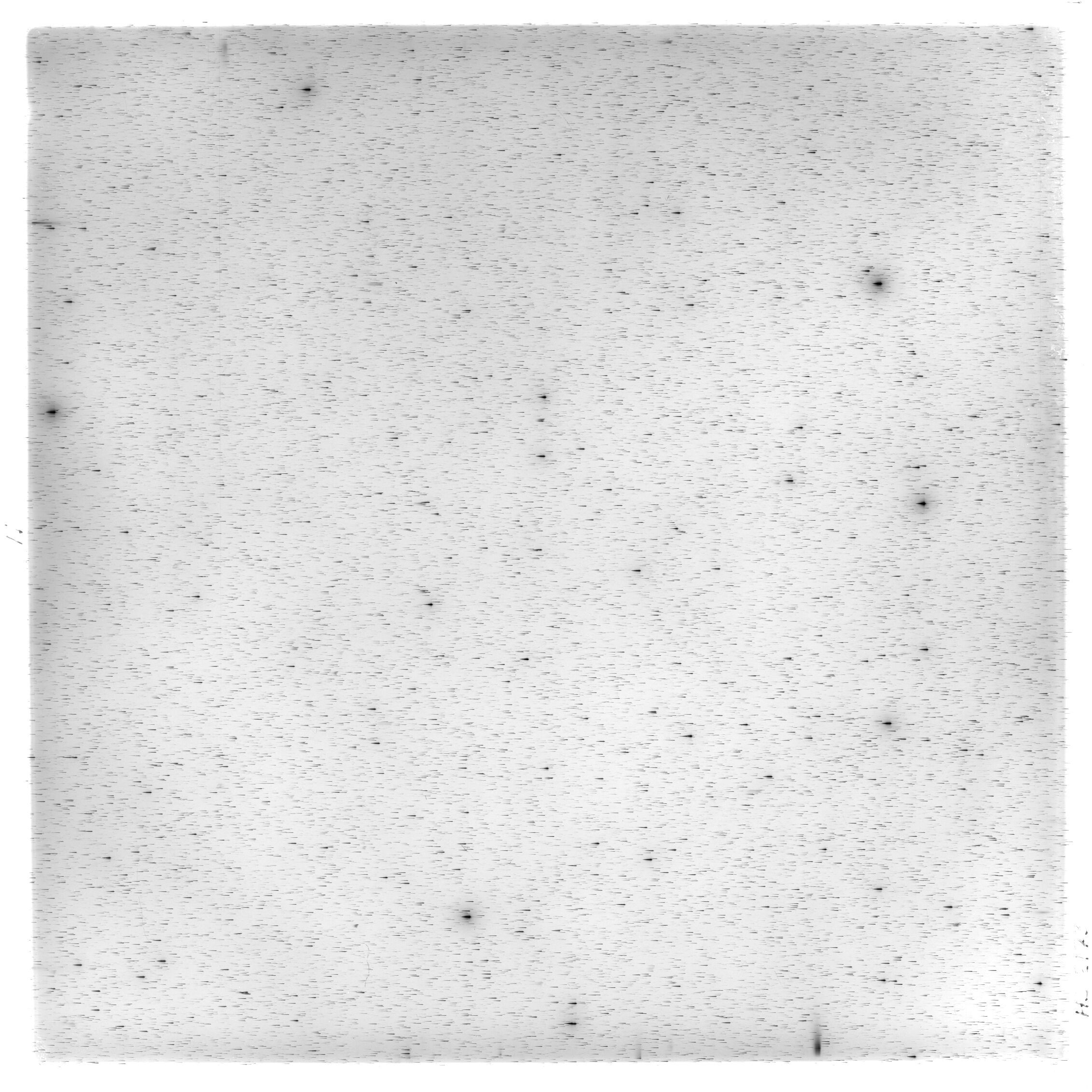 Scan HS02173