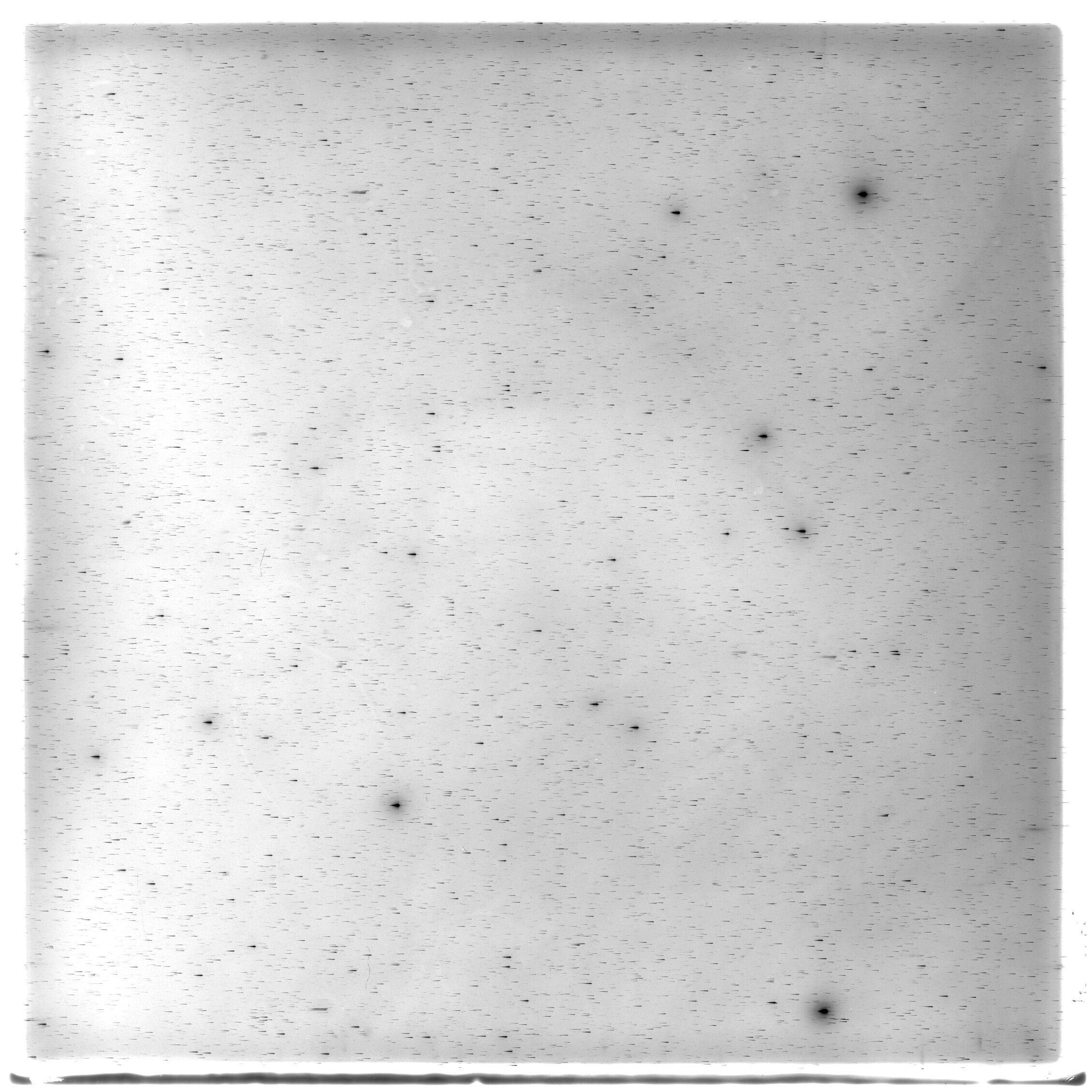 Scan HS02175