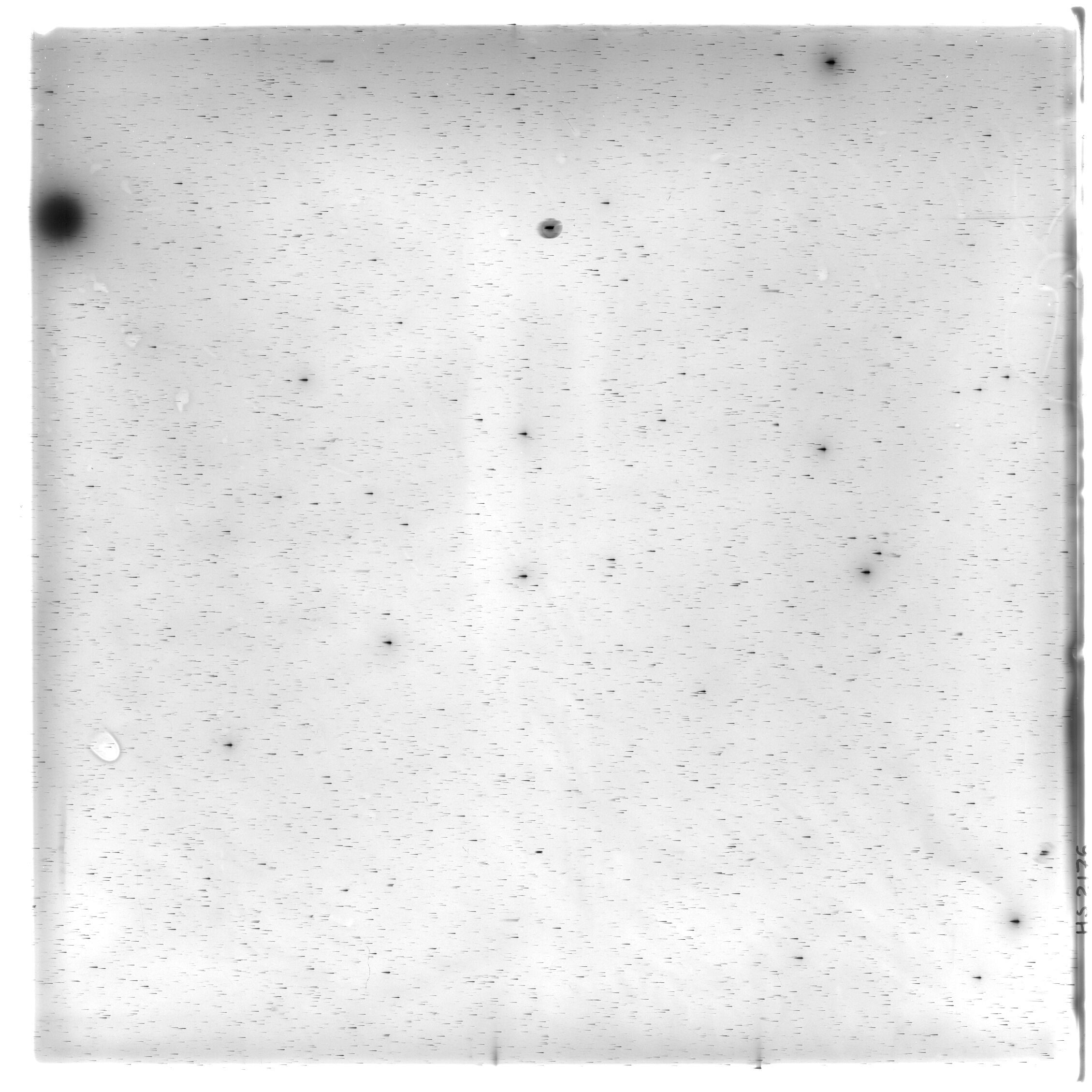 Scan HS02176