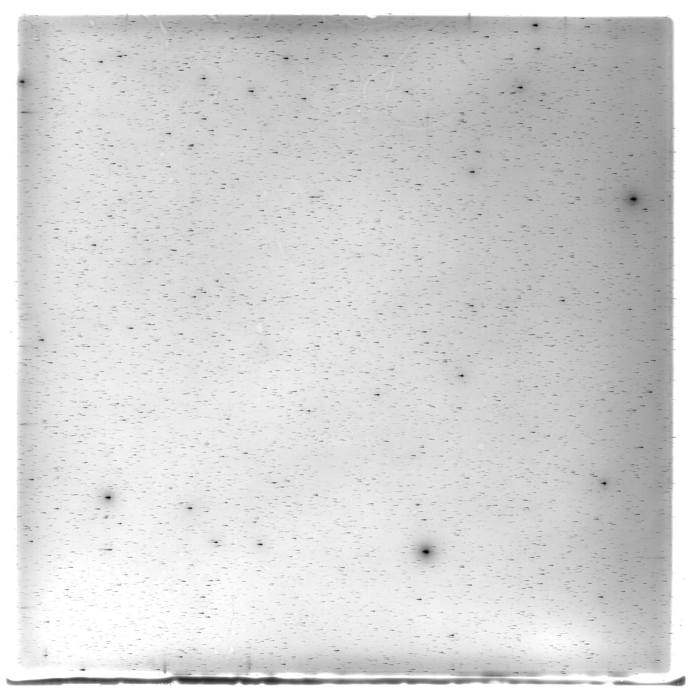 Scan HS02177