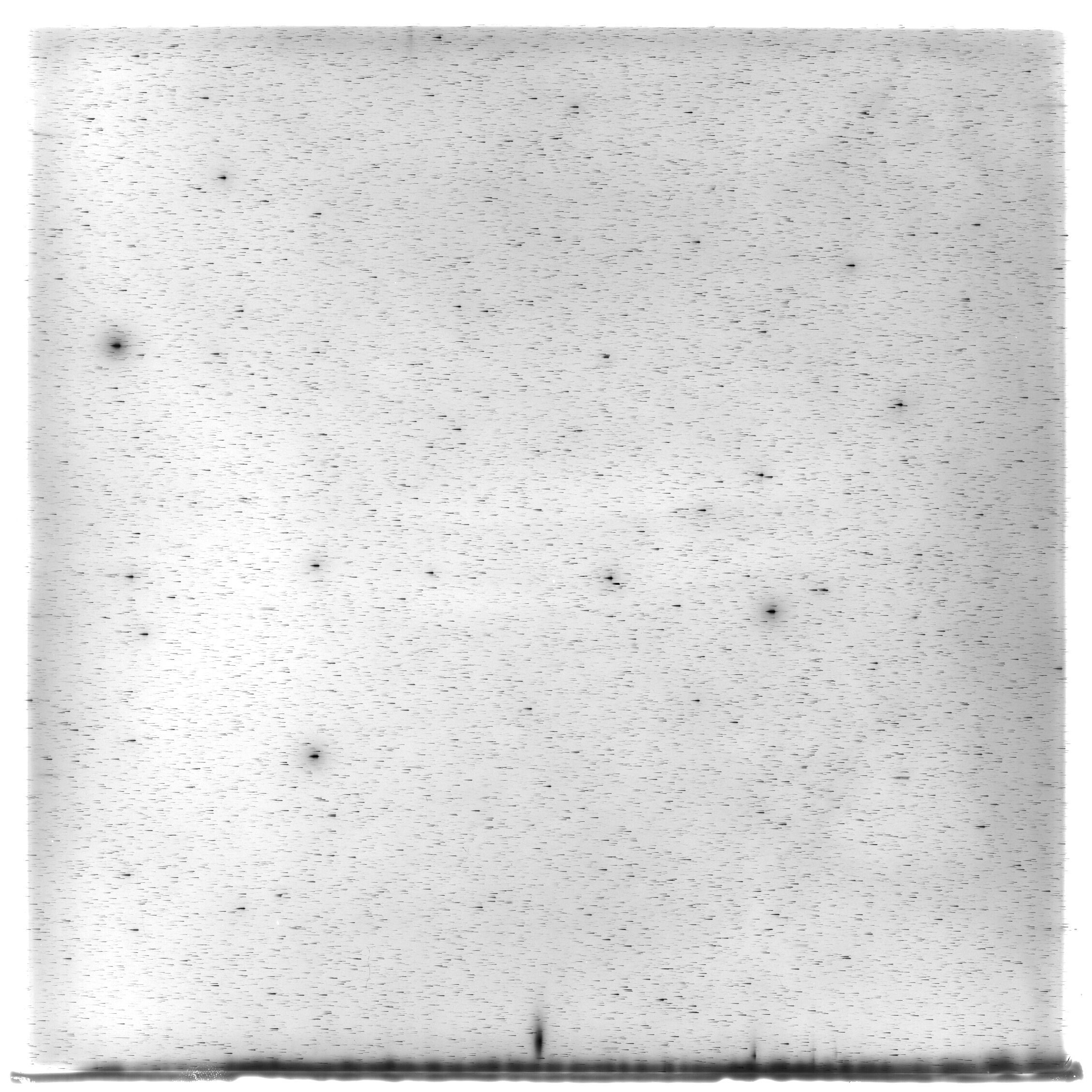 Scan HS02181