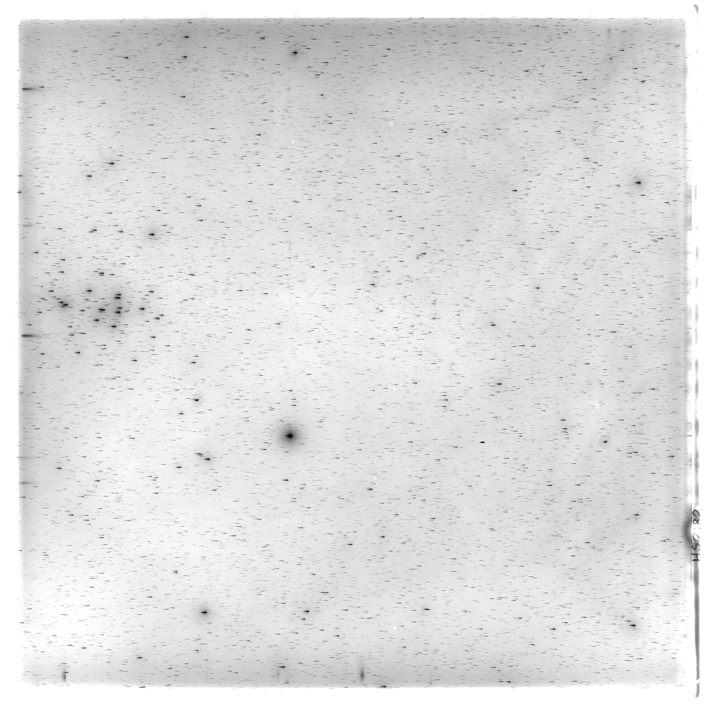 Scan HS02182