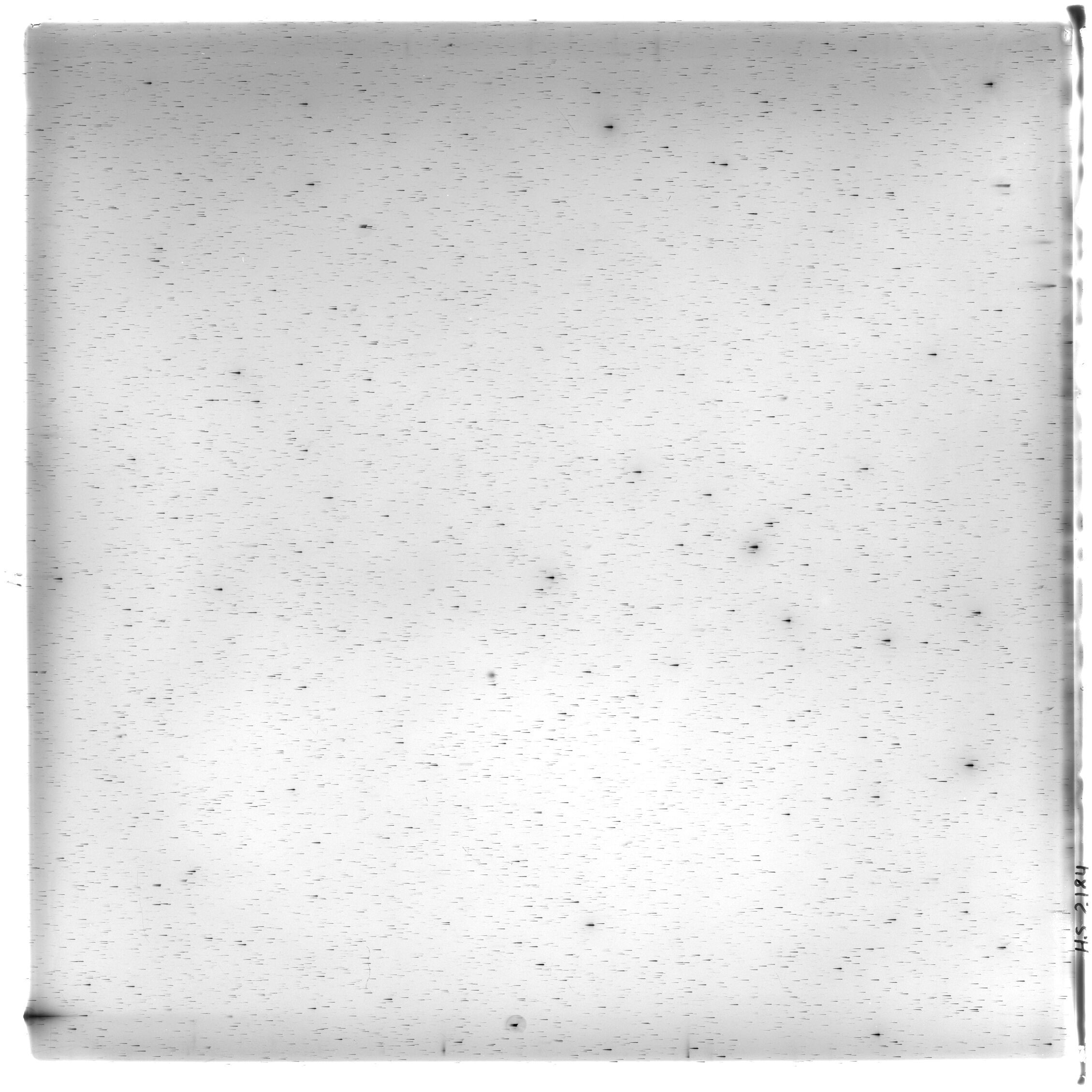 Scan HS02184
