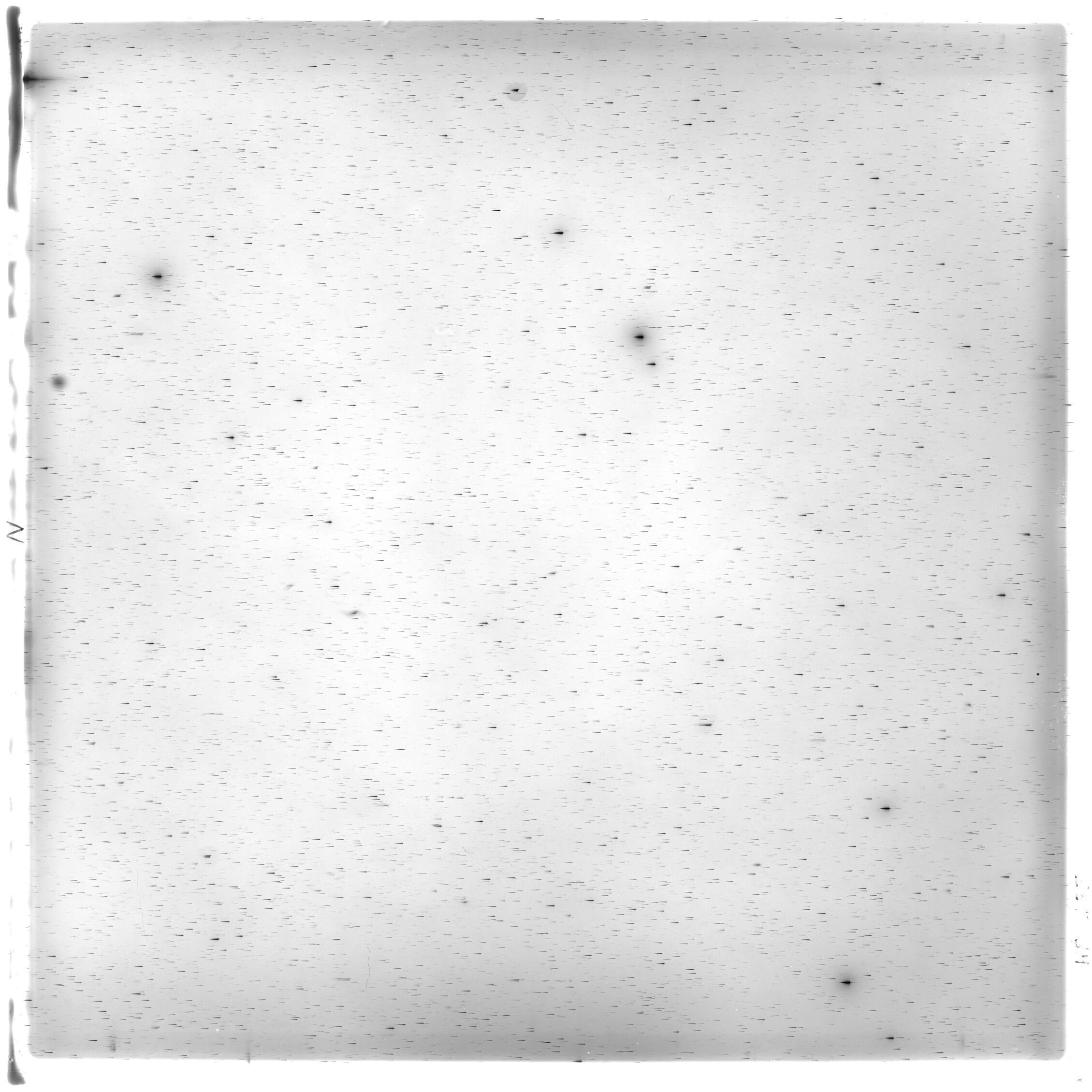 Scan HS02185