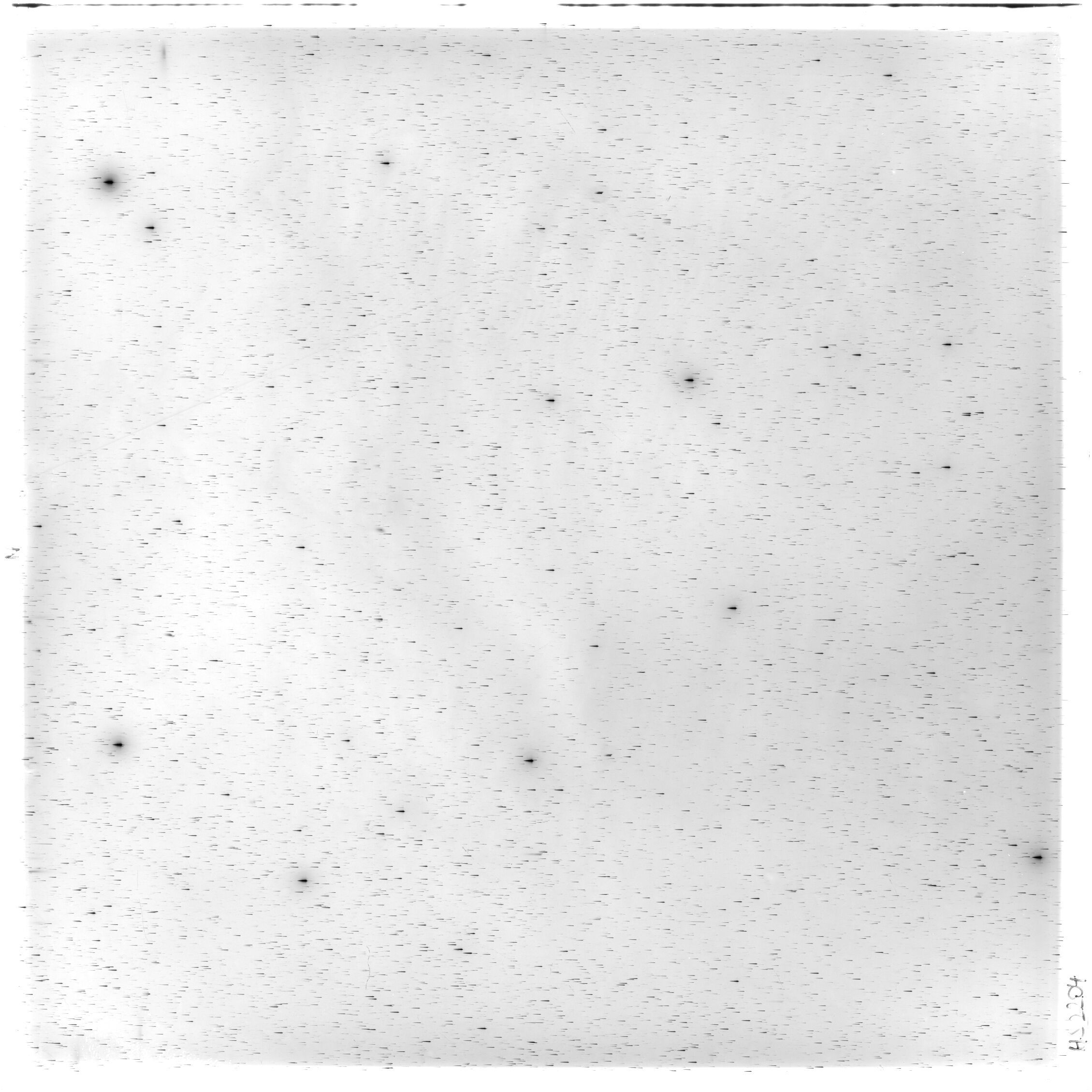 Scan HS02204